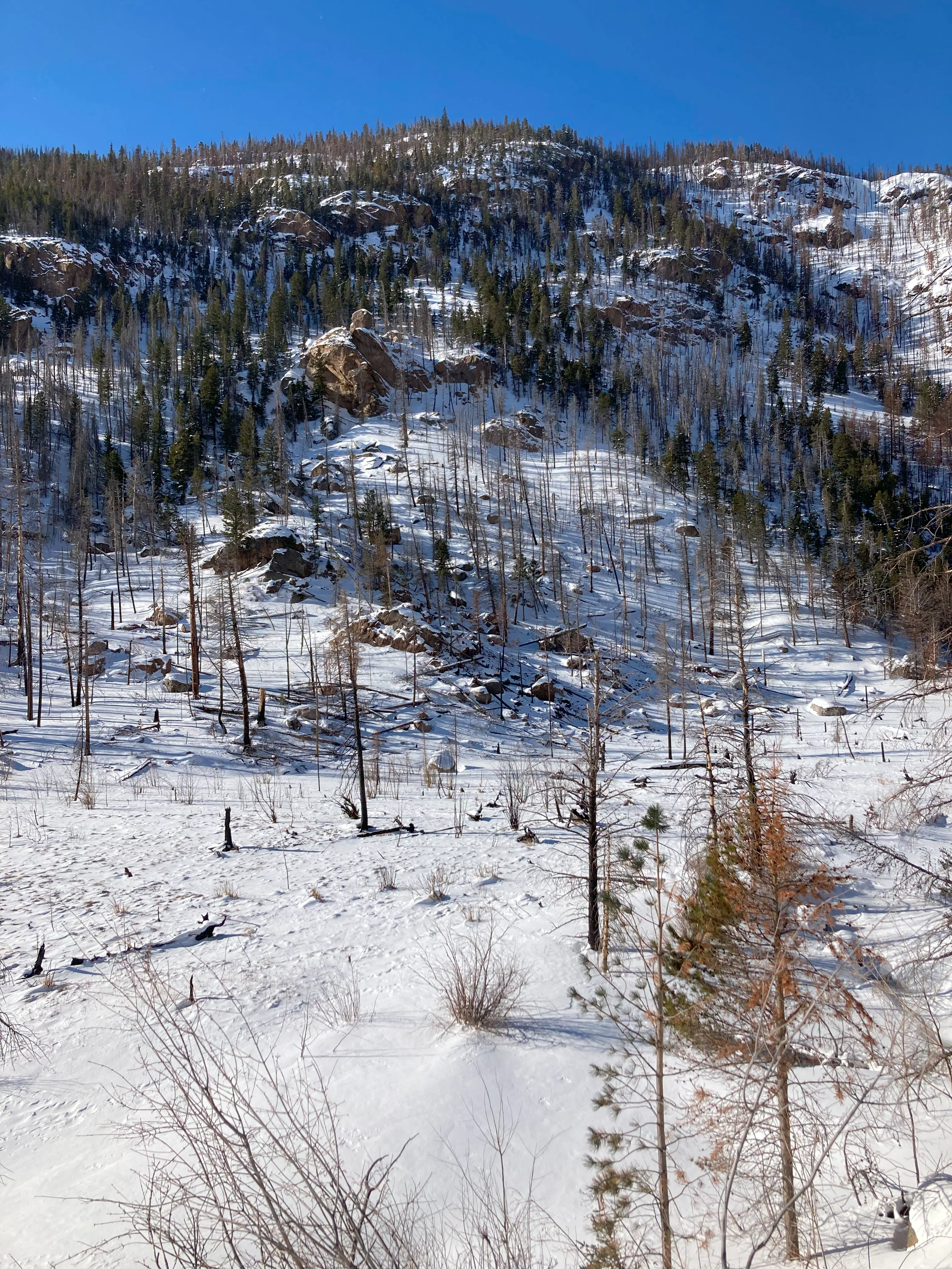 img_4876.webp
