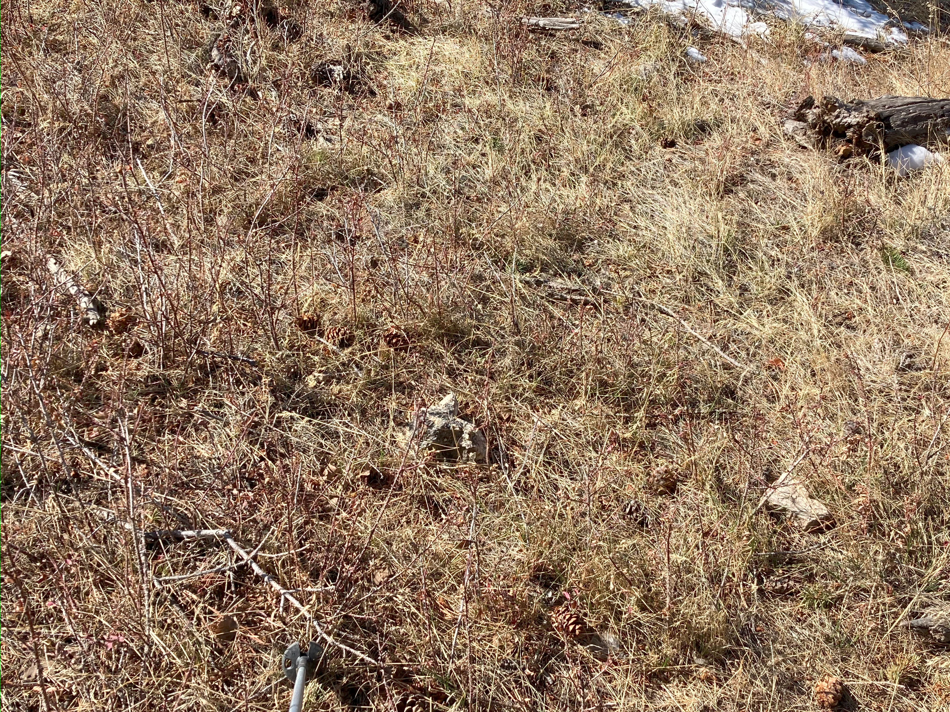img_2708.webp