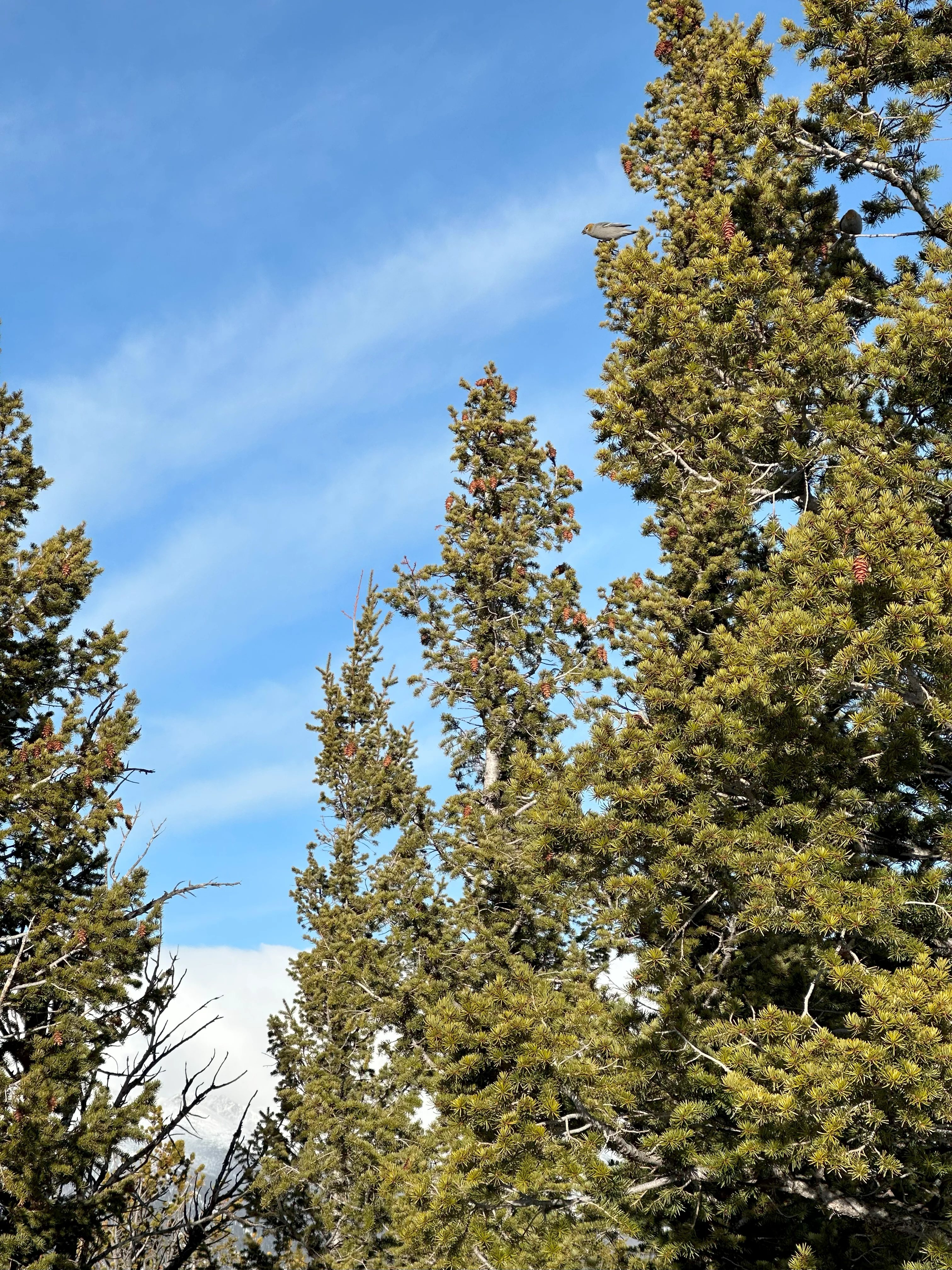 img_0282.webp
