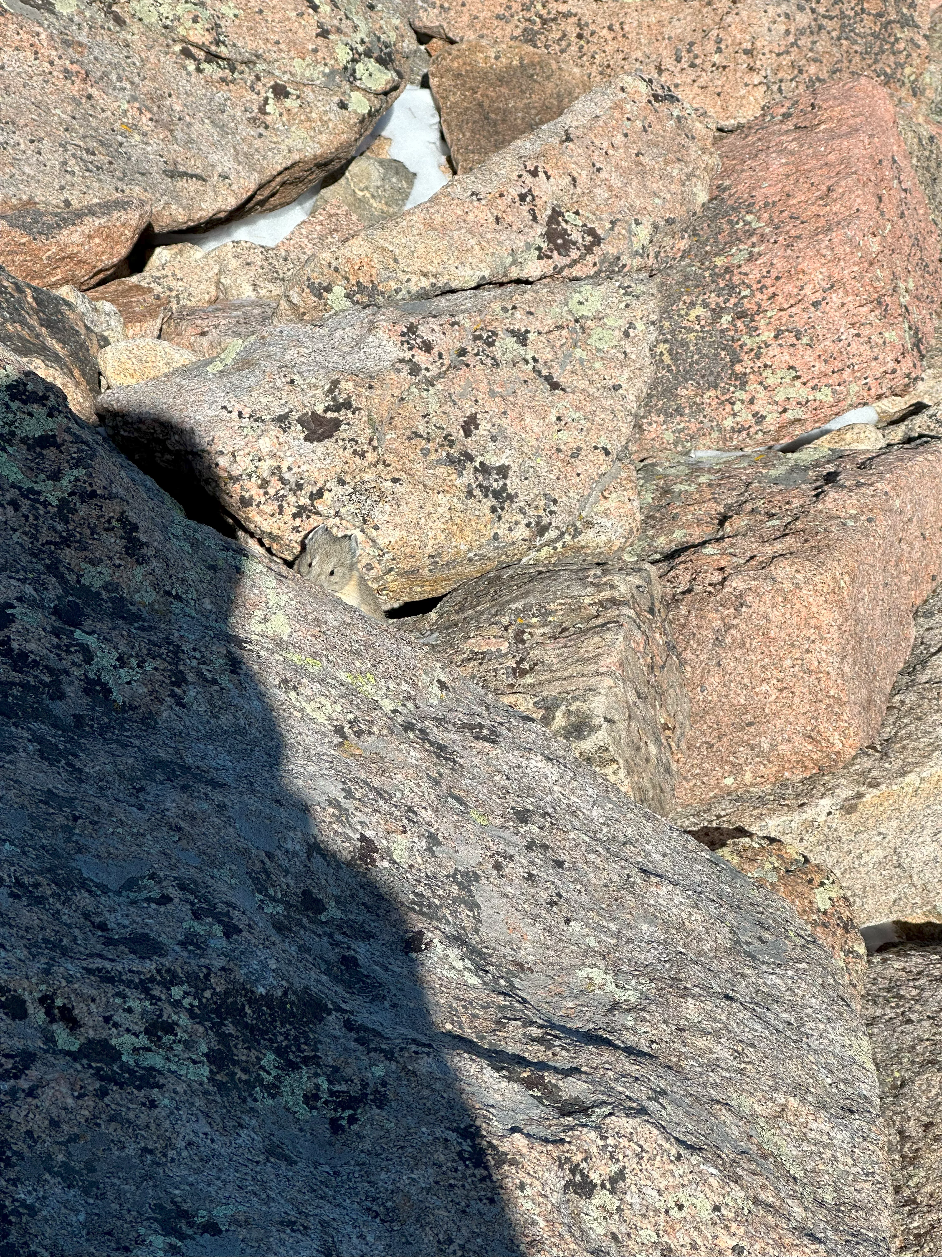 img_1900.webp