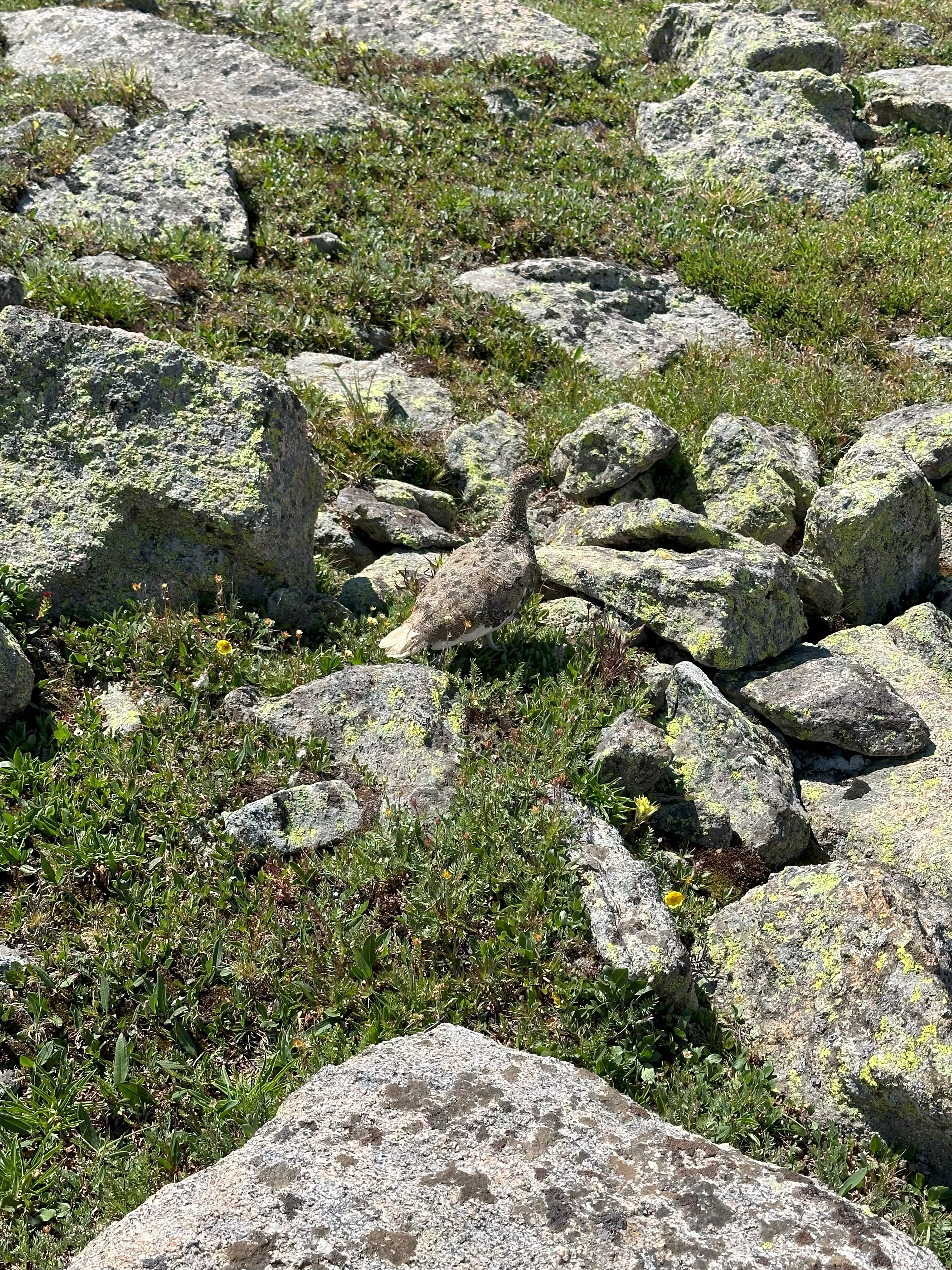 img_2704.webp