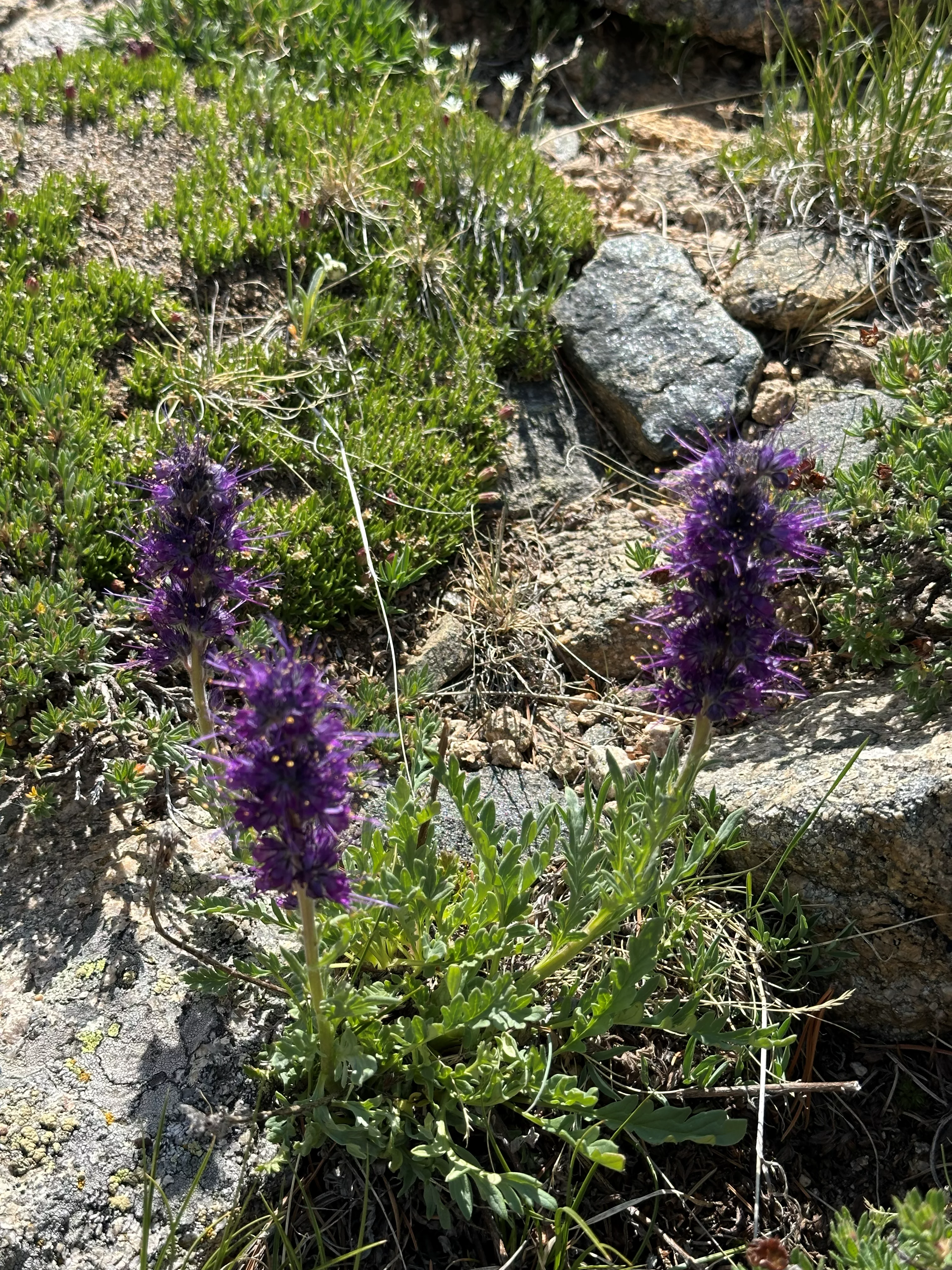 img_4828.webp