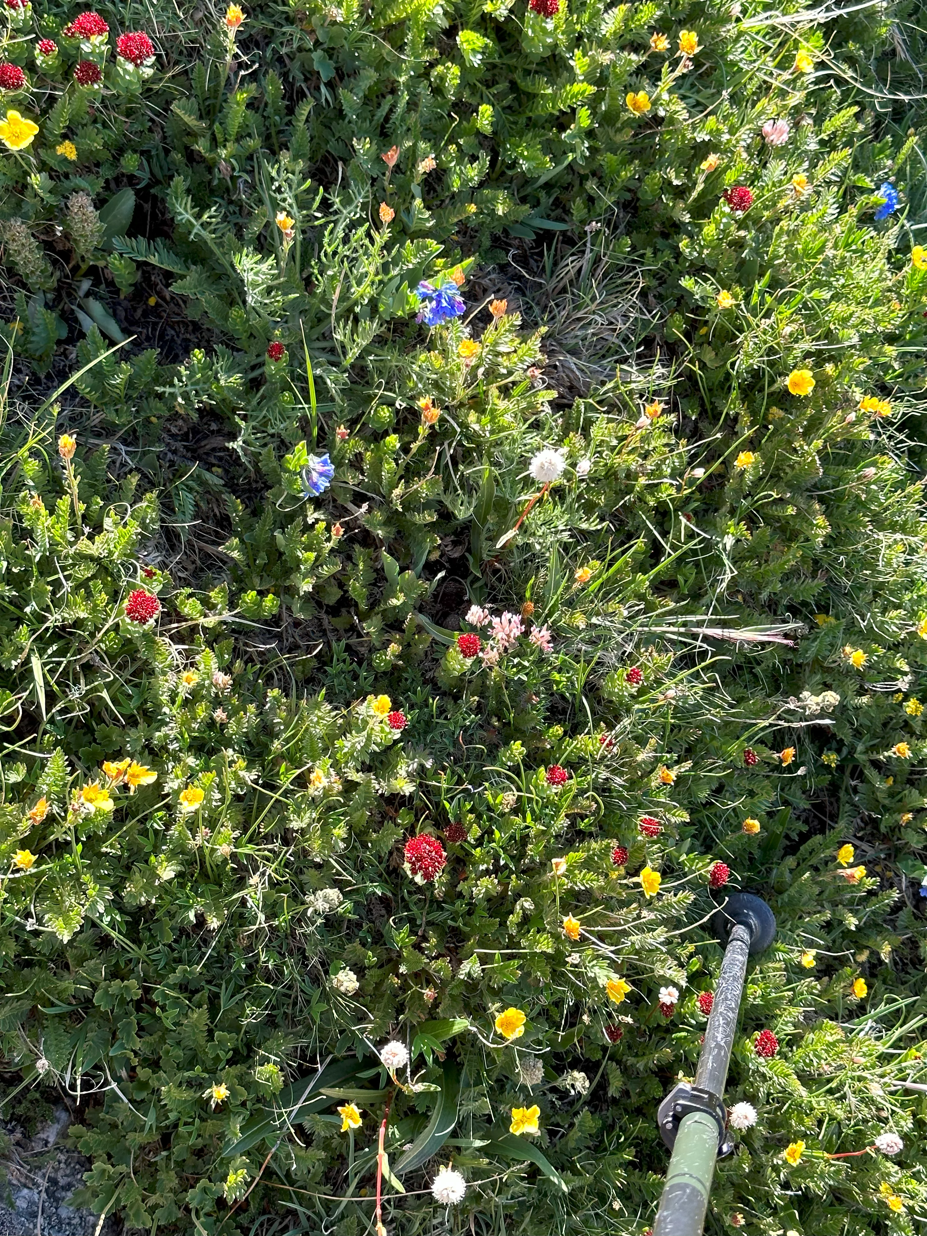 img_1148.webp