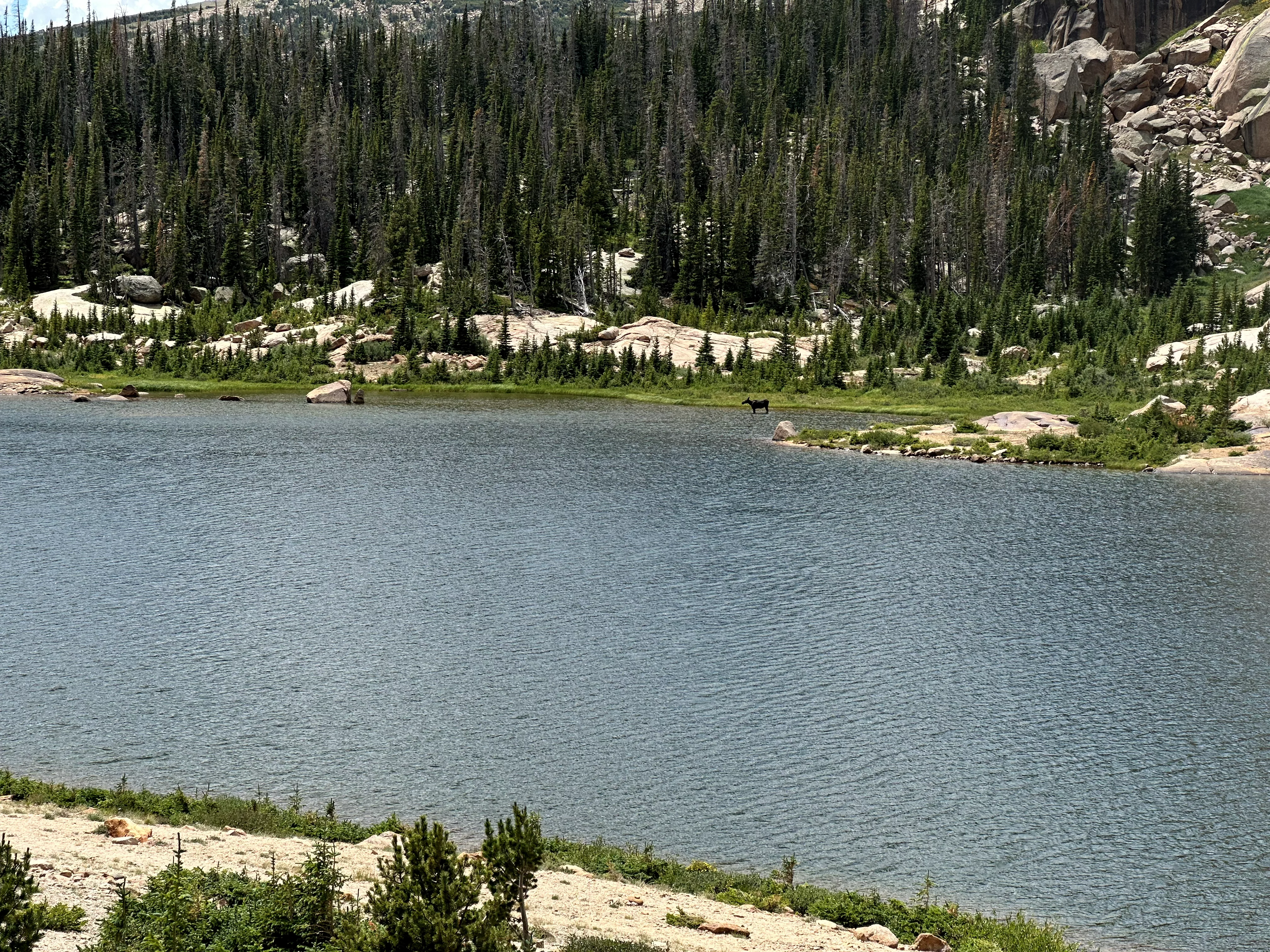 img_4890.webp