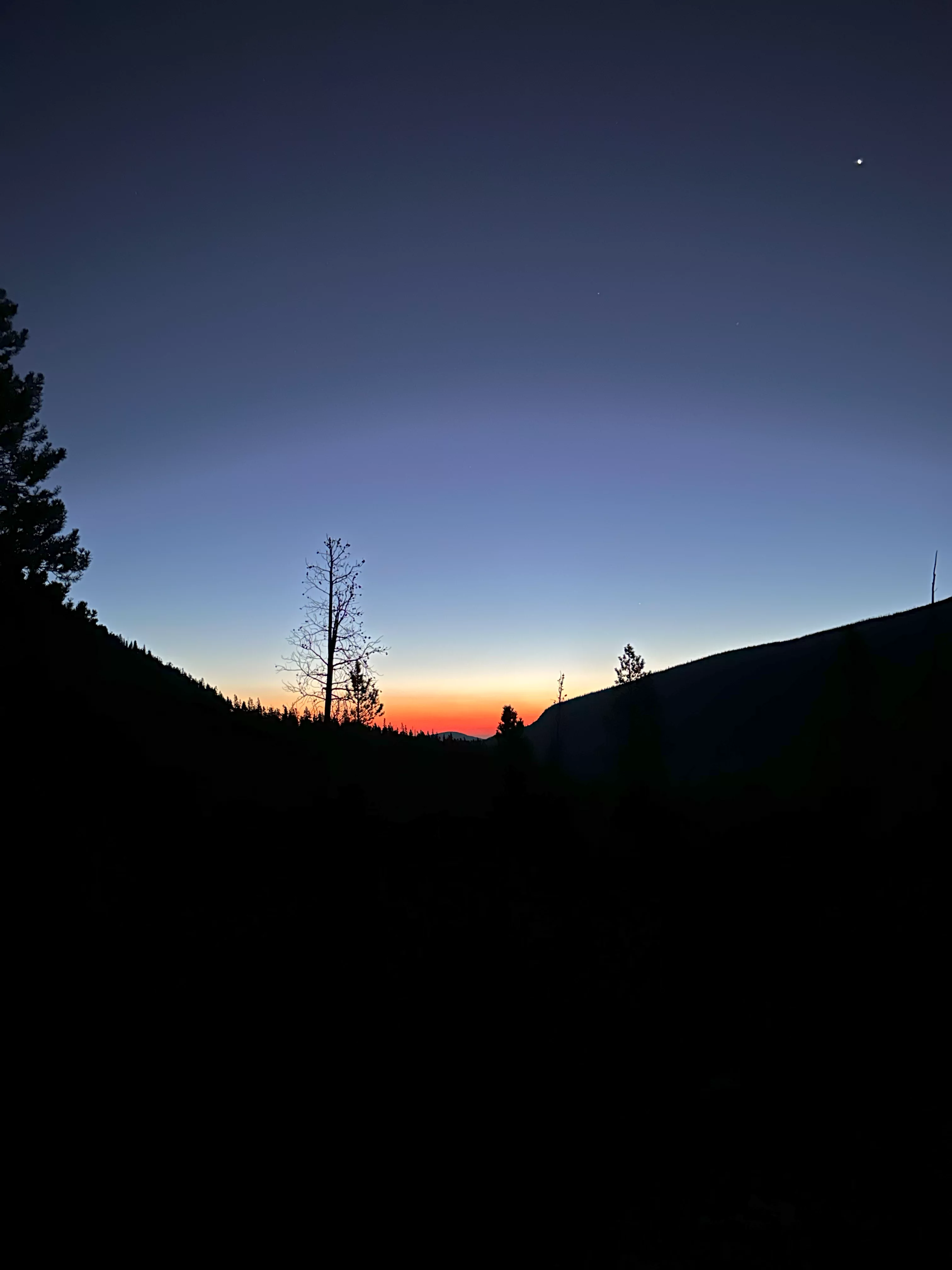 img_1668.webp