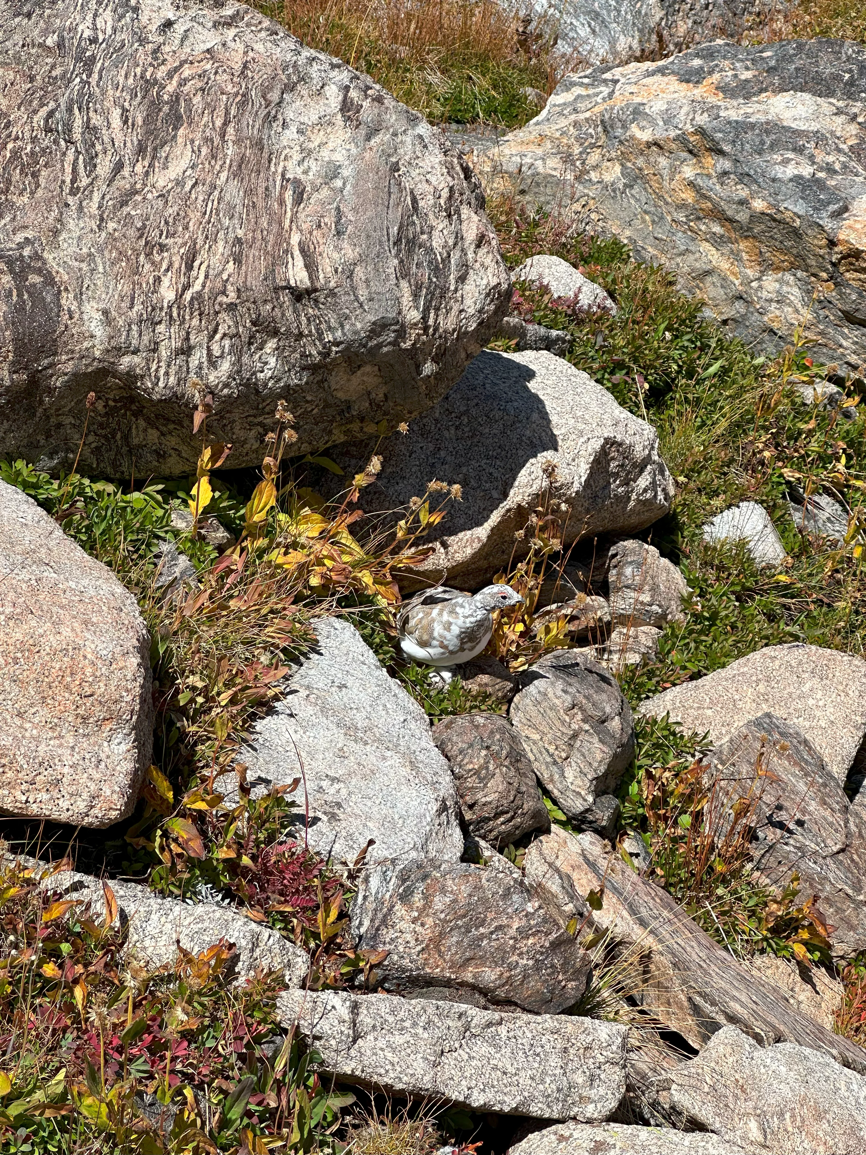 img_1708.webp