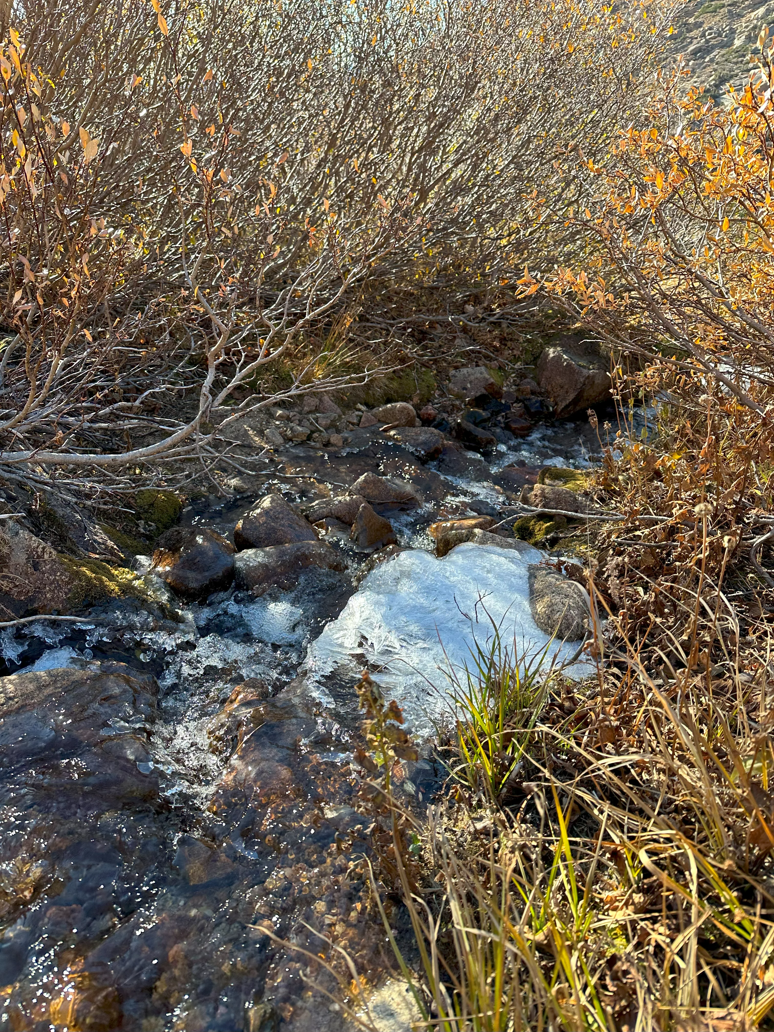 img_0116.webp