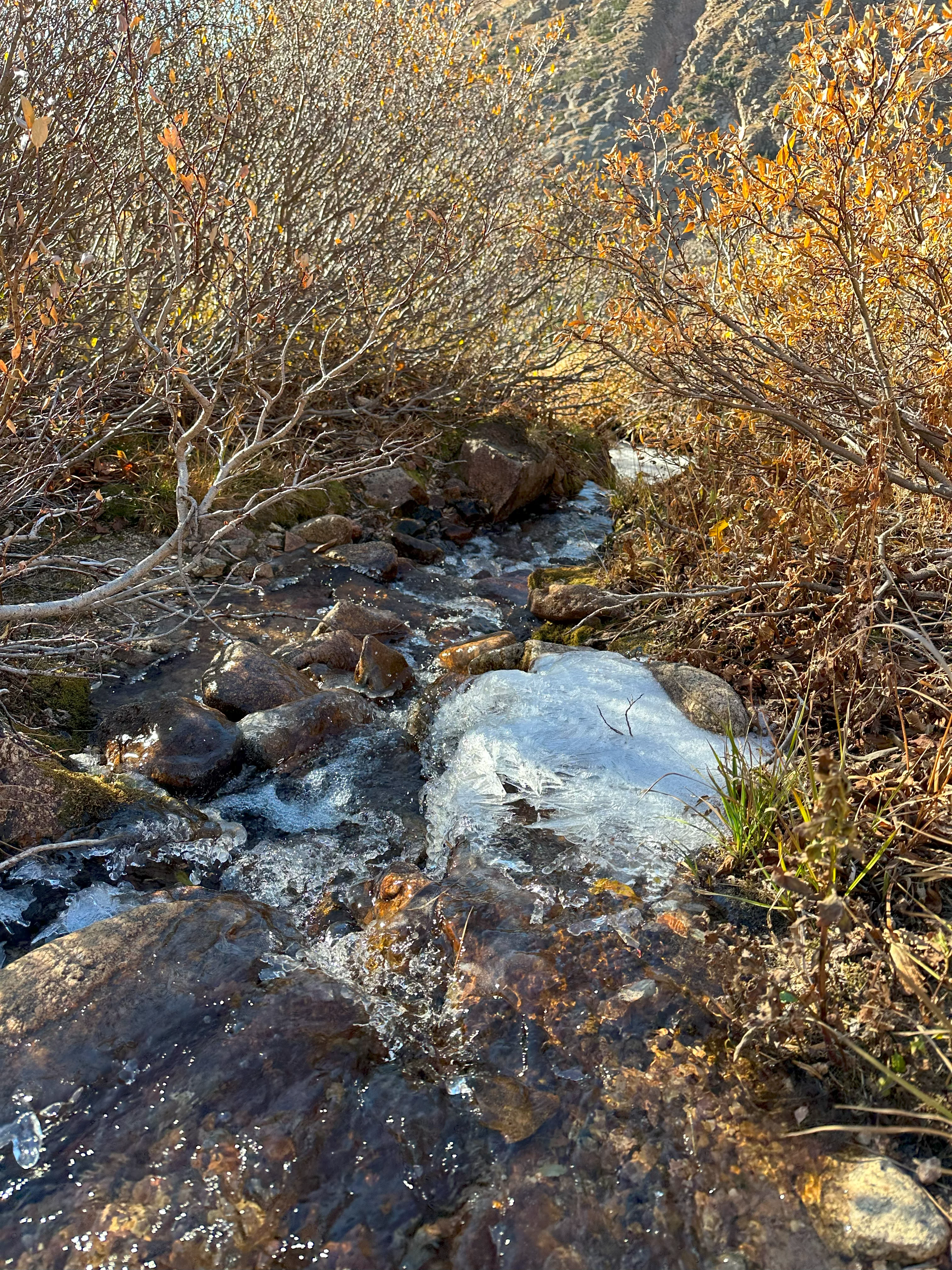 img_0117.webp