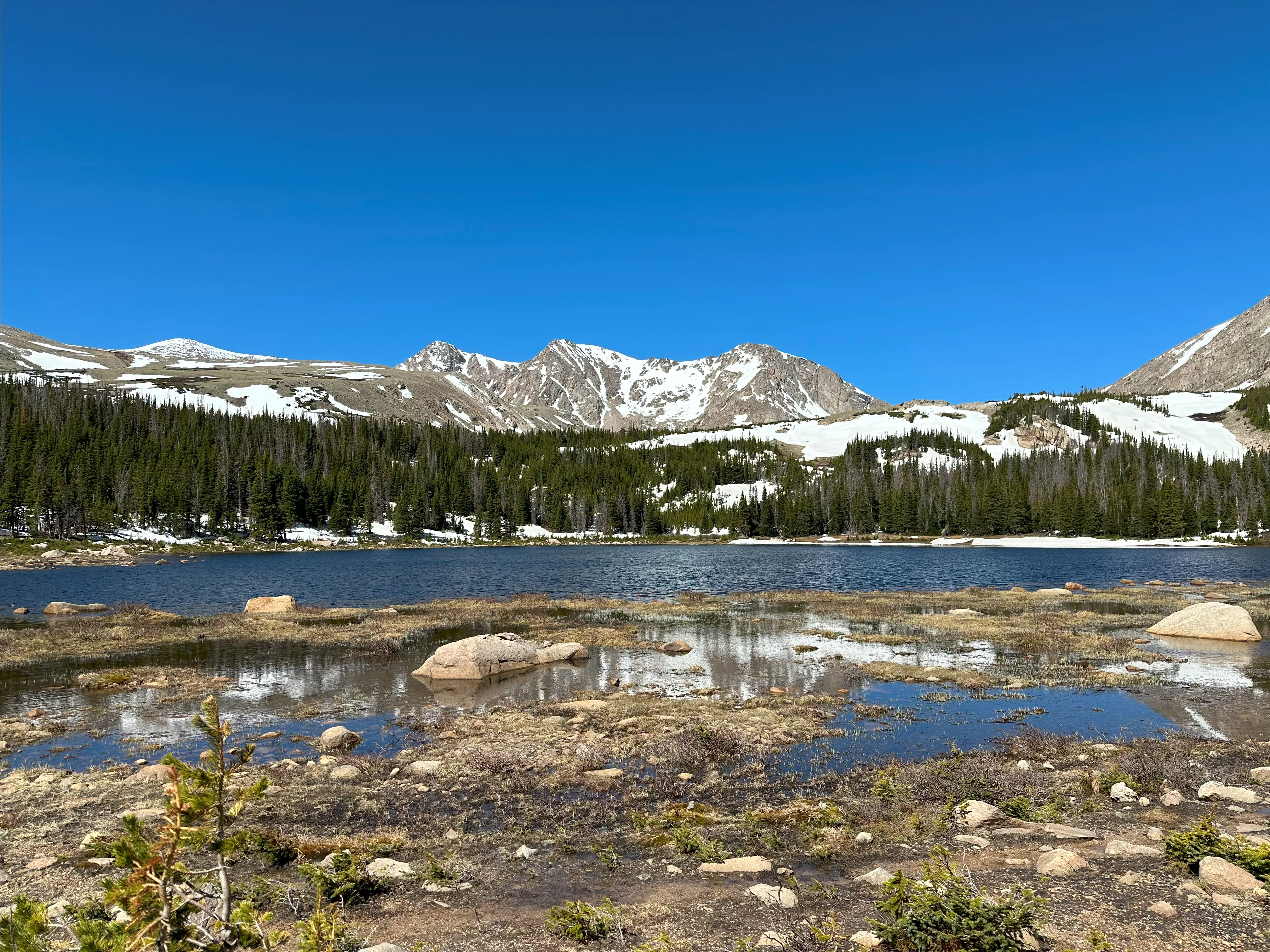 img_2450.webp
