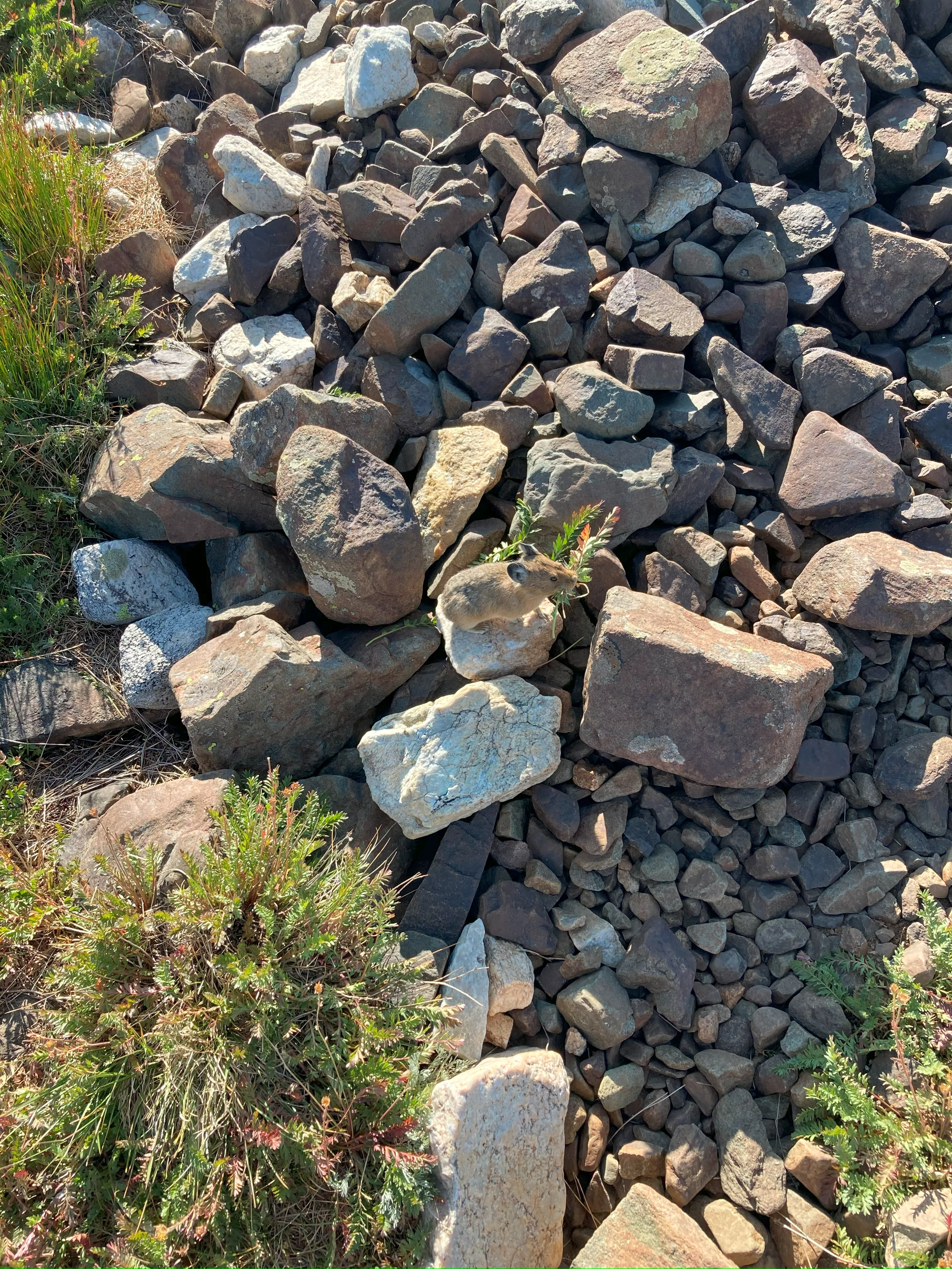 img_2112.webp