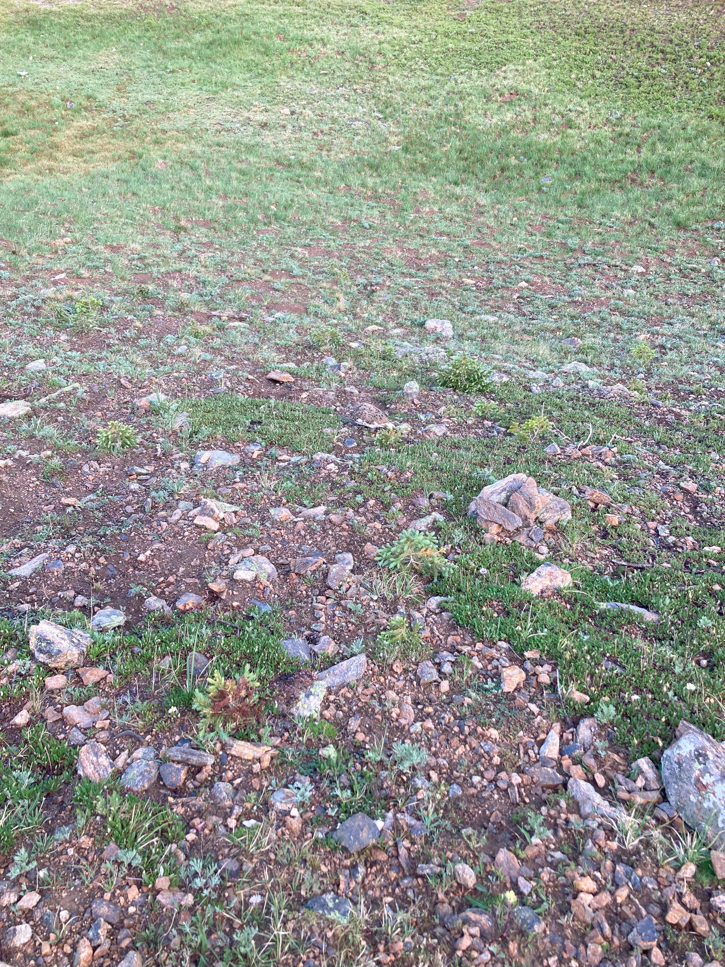 img_3995.webp