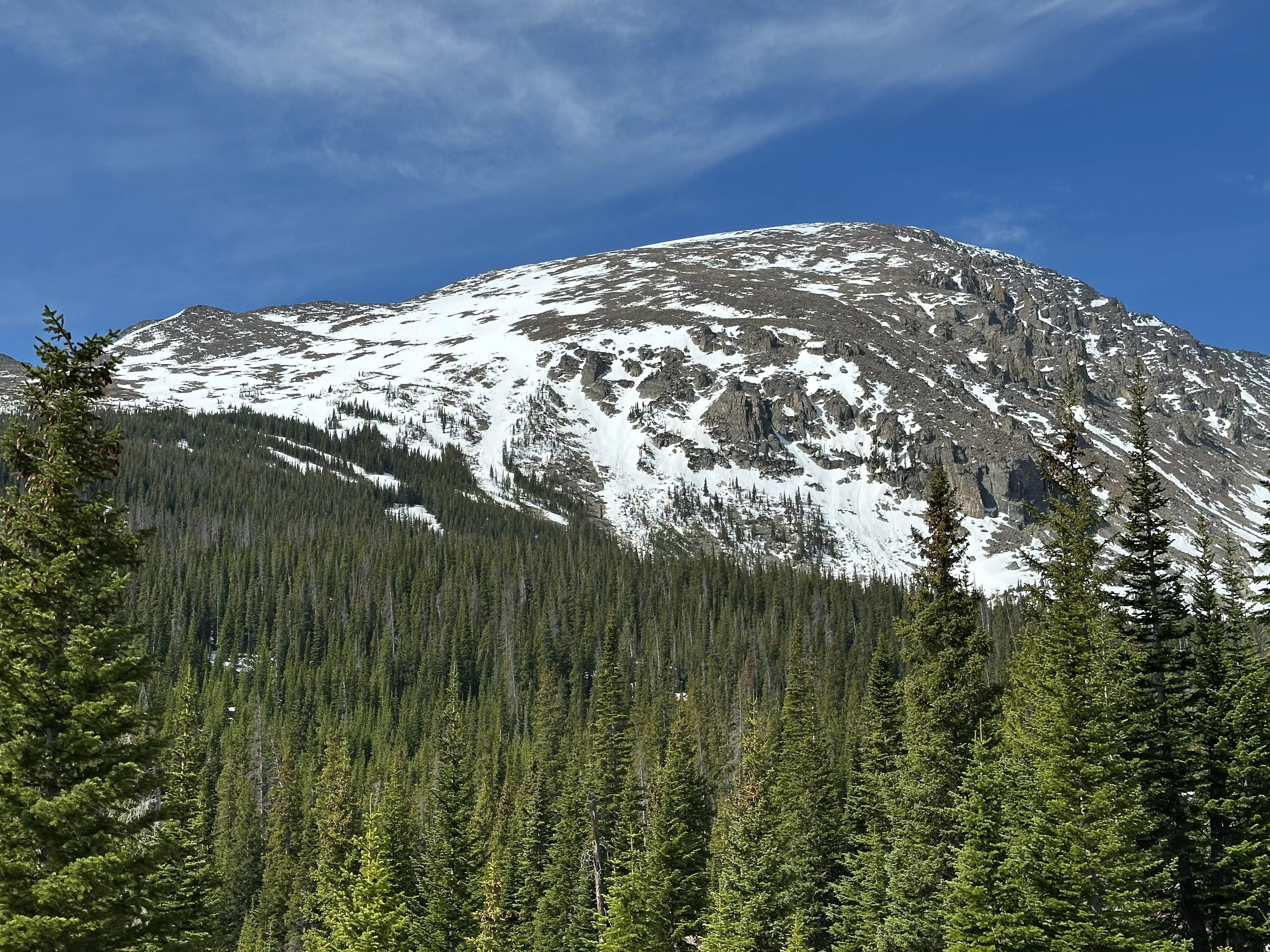 img_4649.webp