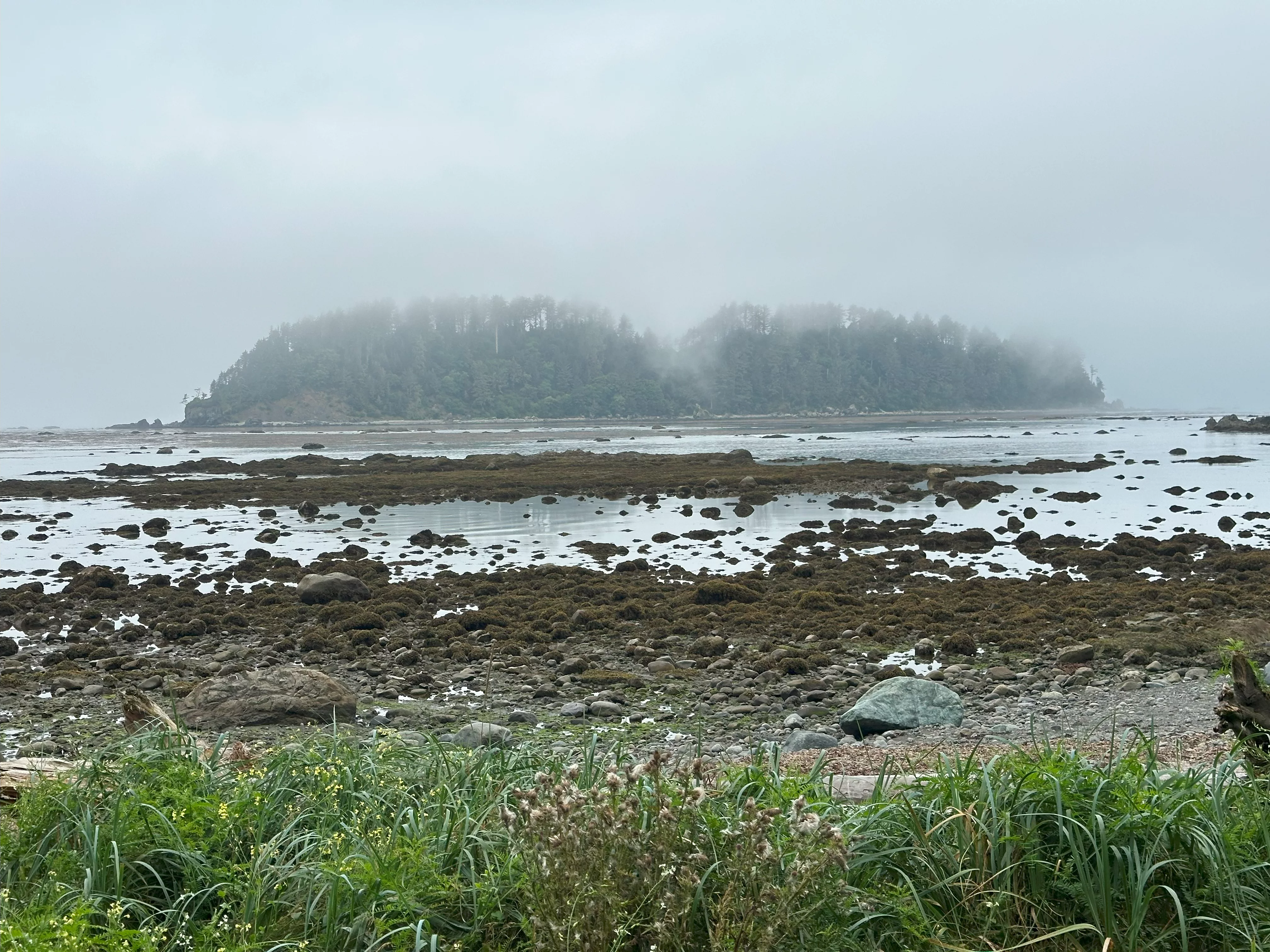 img_4123.webp