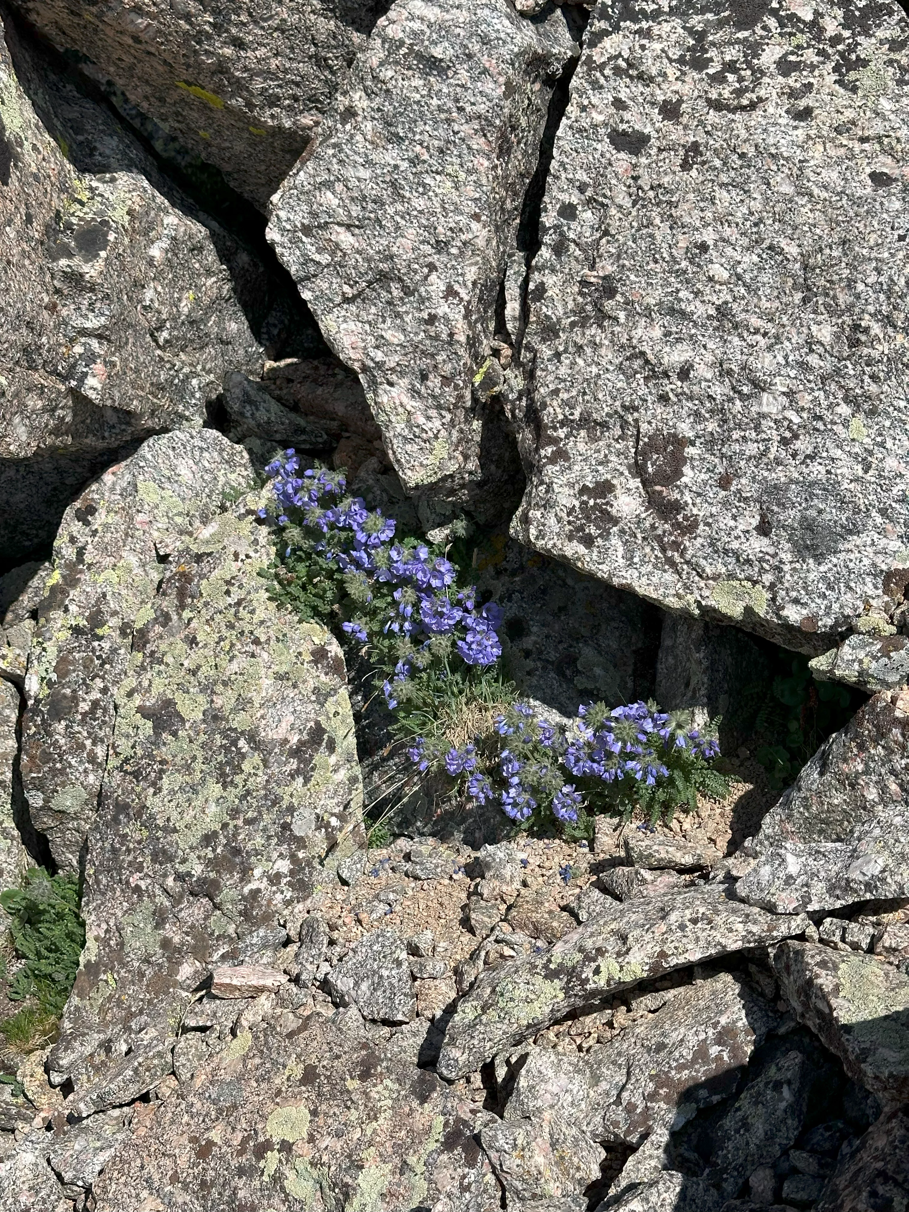 img_3939.webp