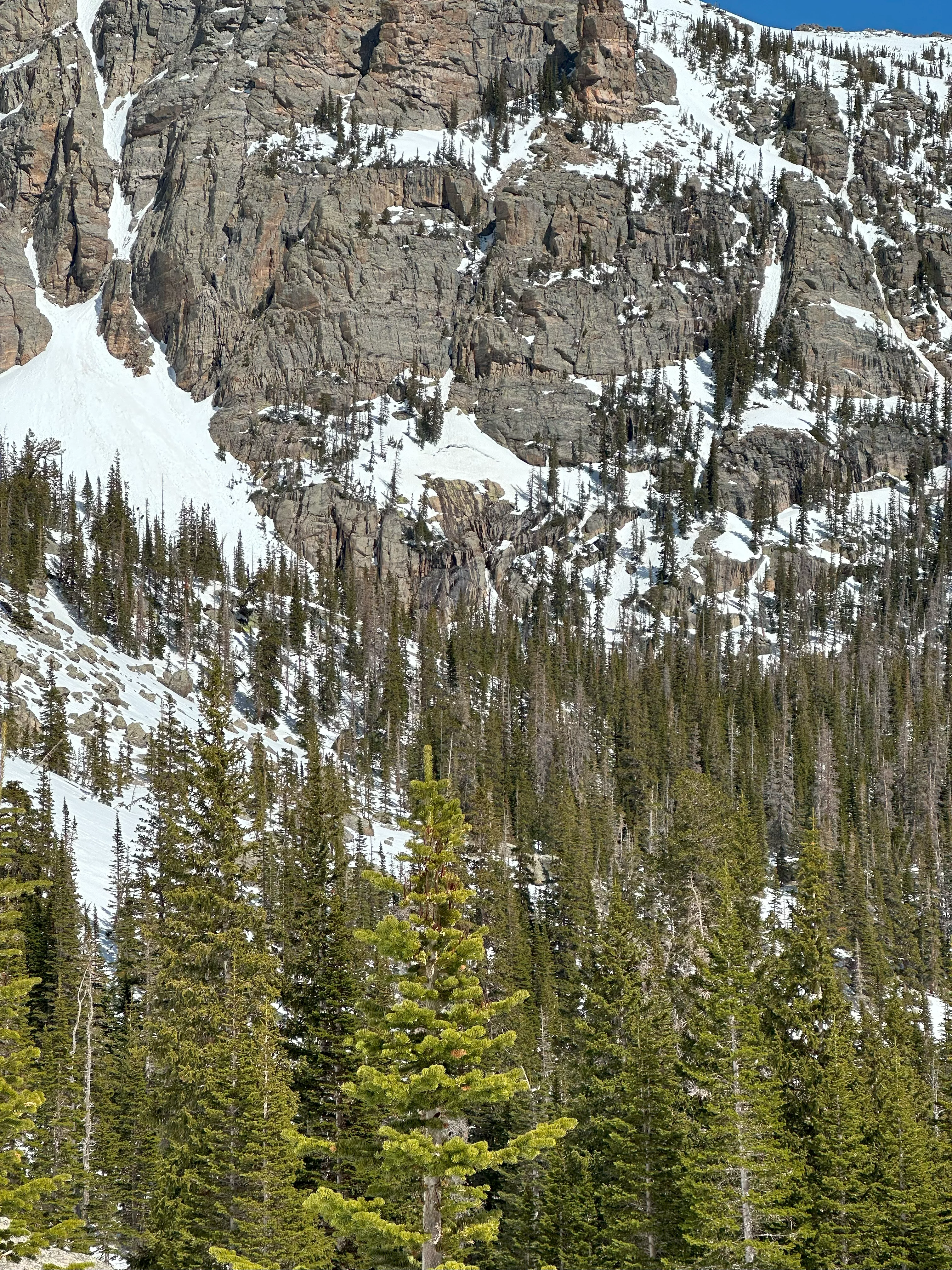 img_2246.webp