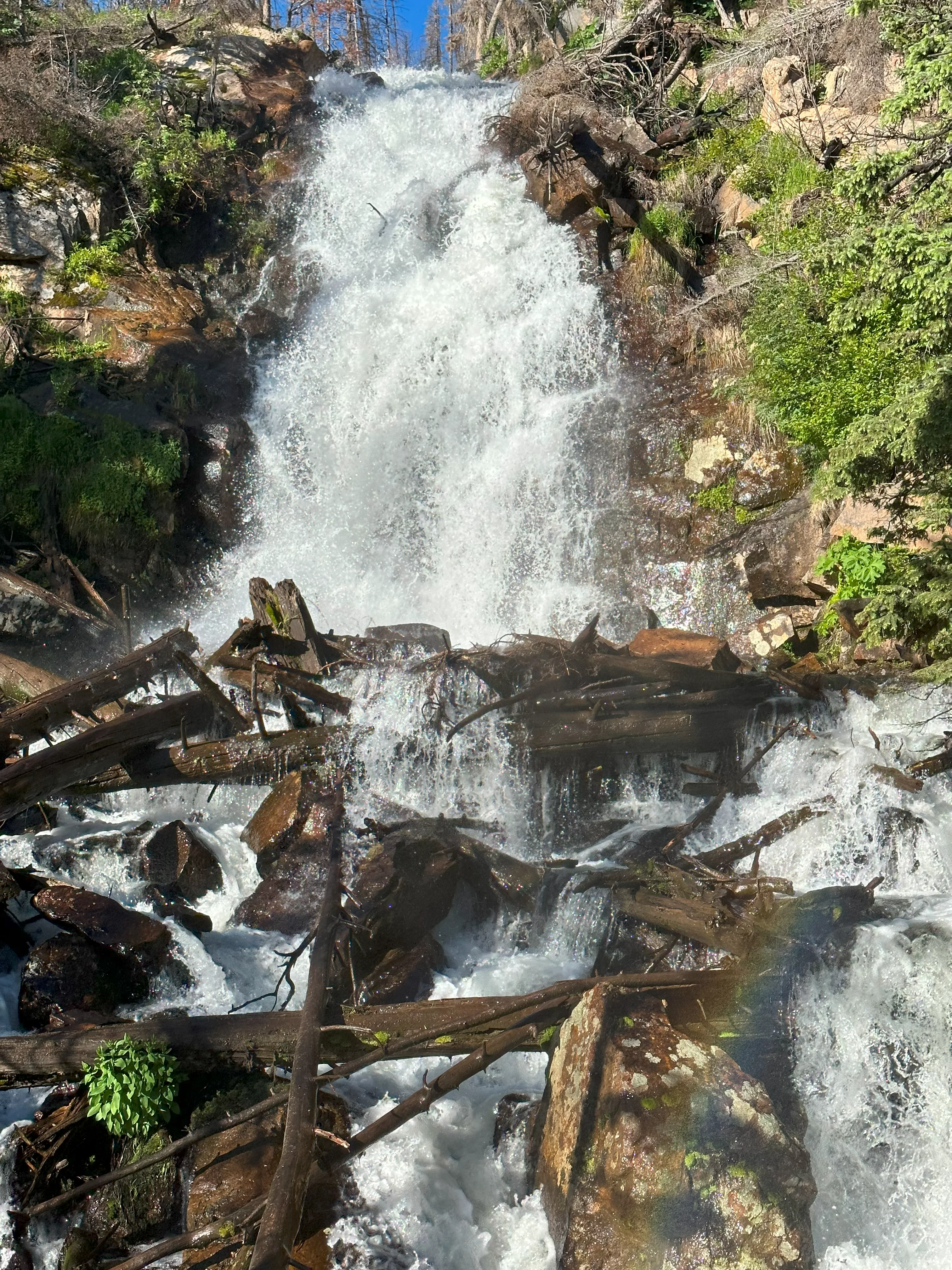 img_1069.webp