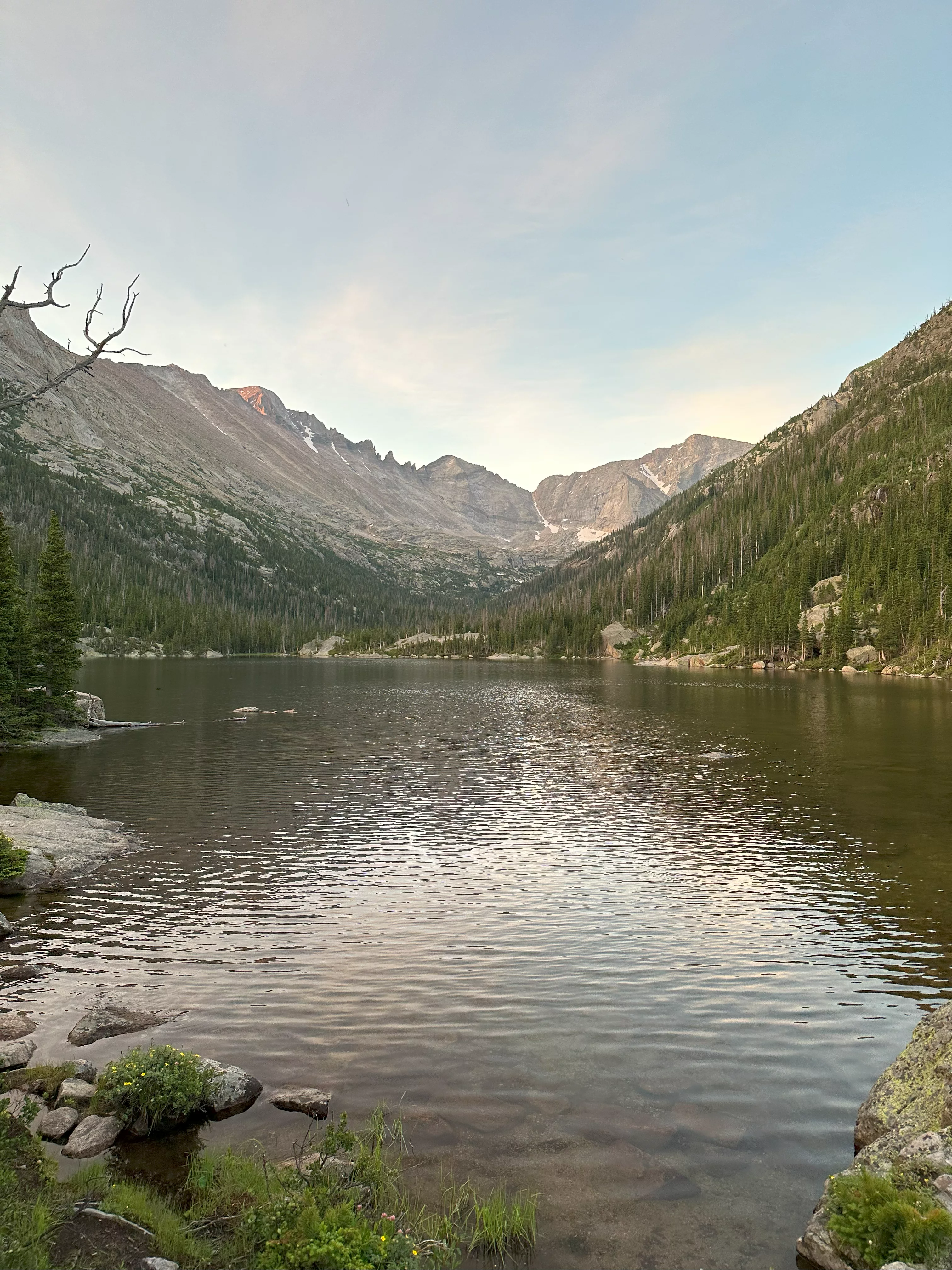img_1200.webp