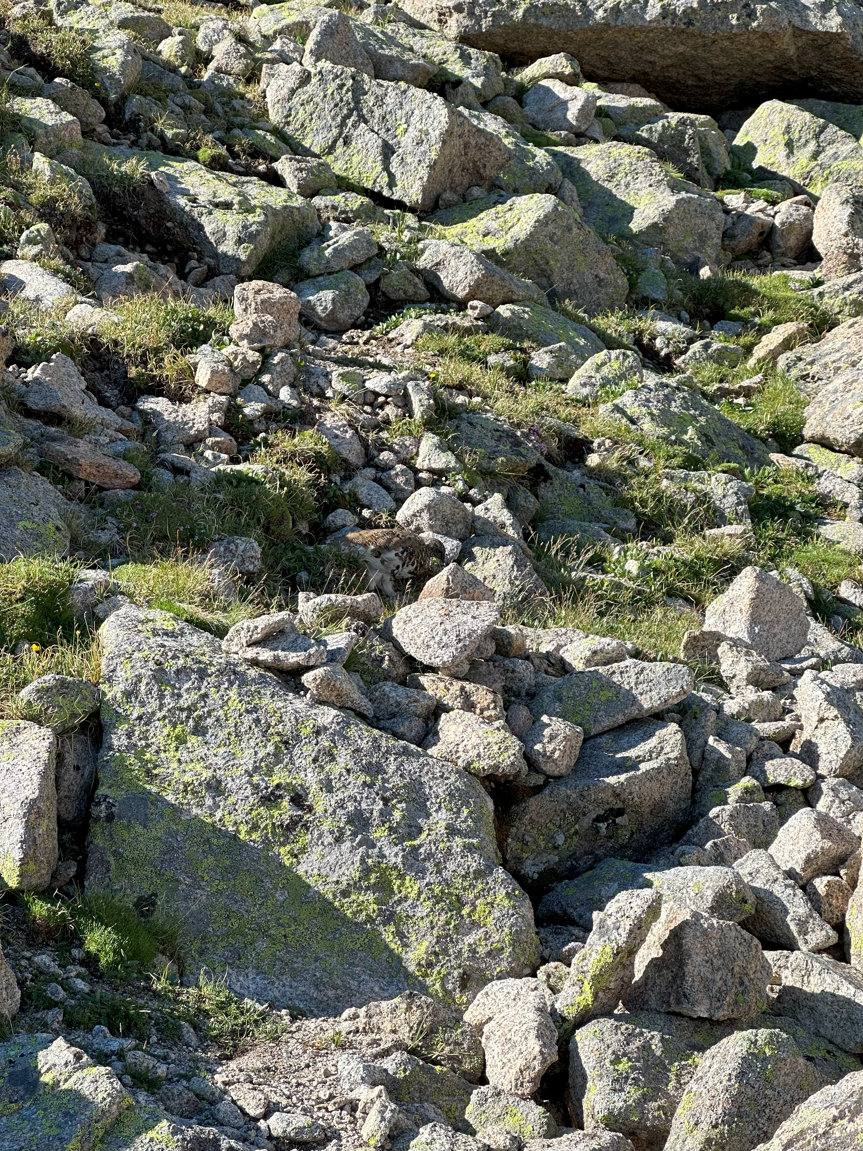img_1220.webp