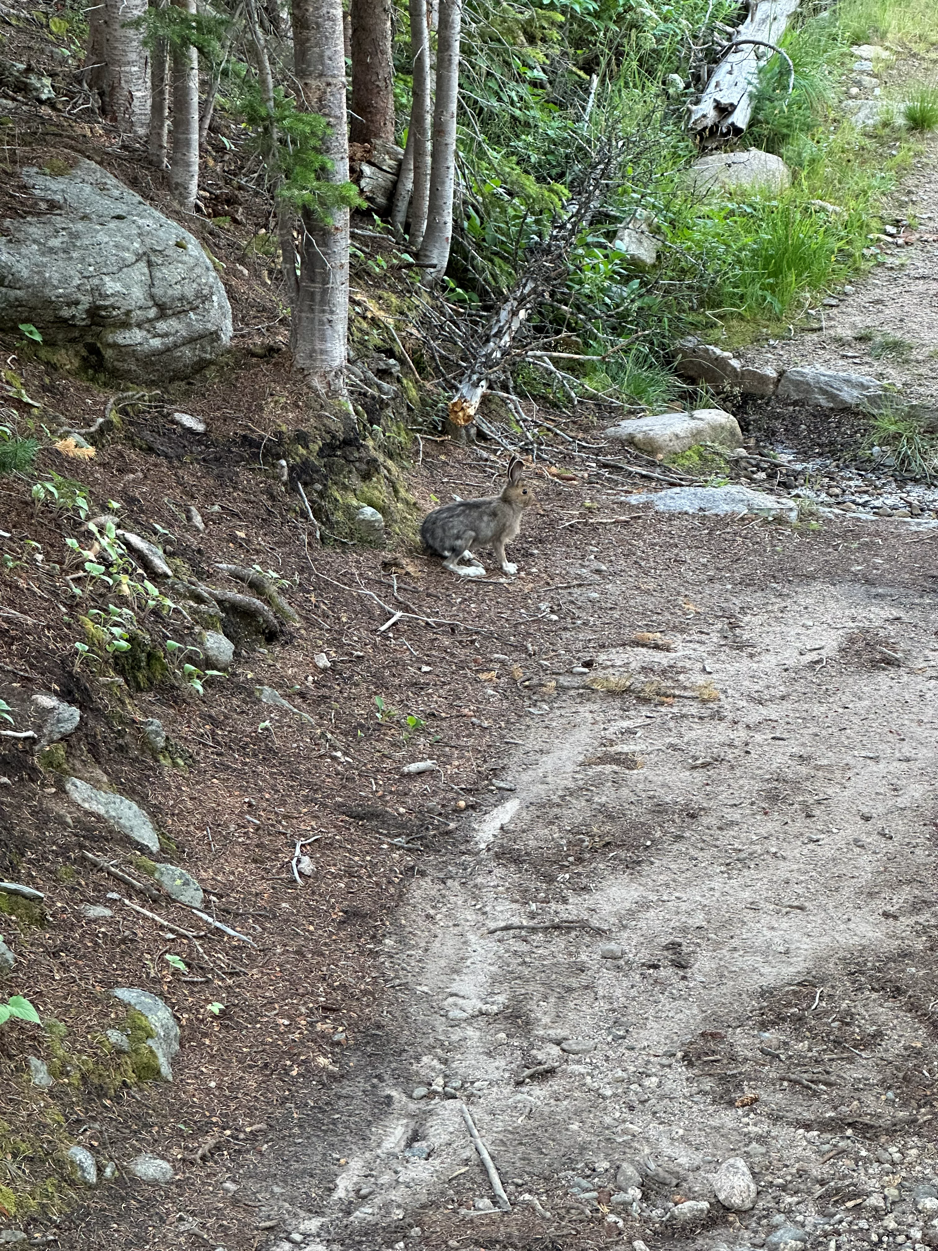 img_4893.webp