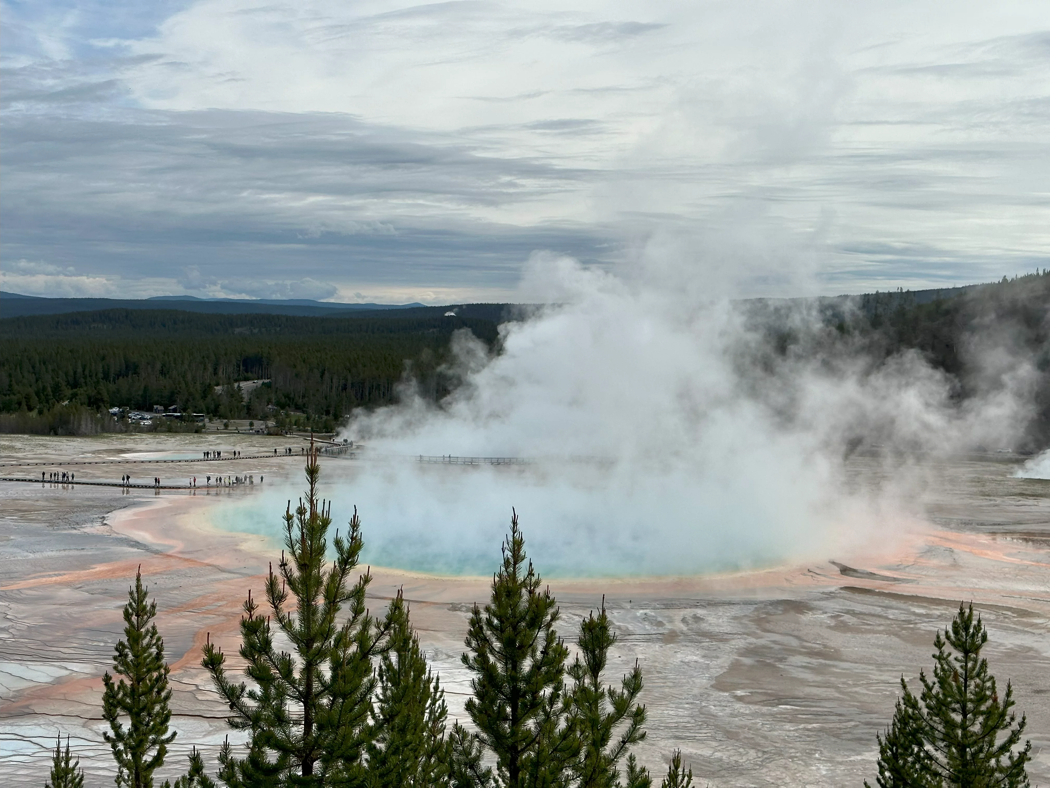 img_0851.webp