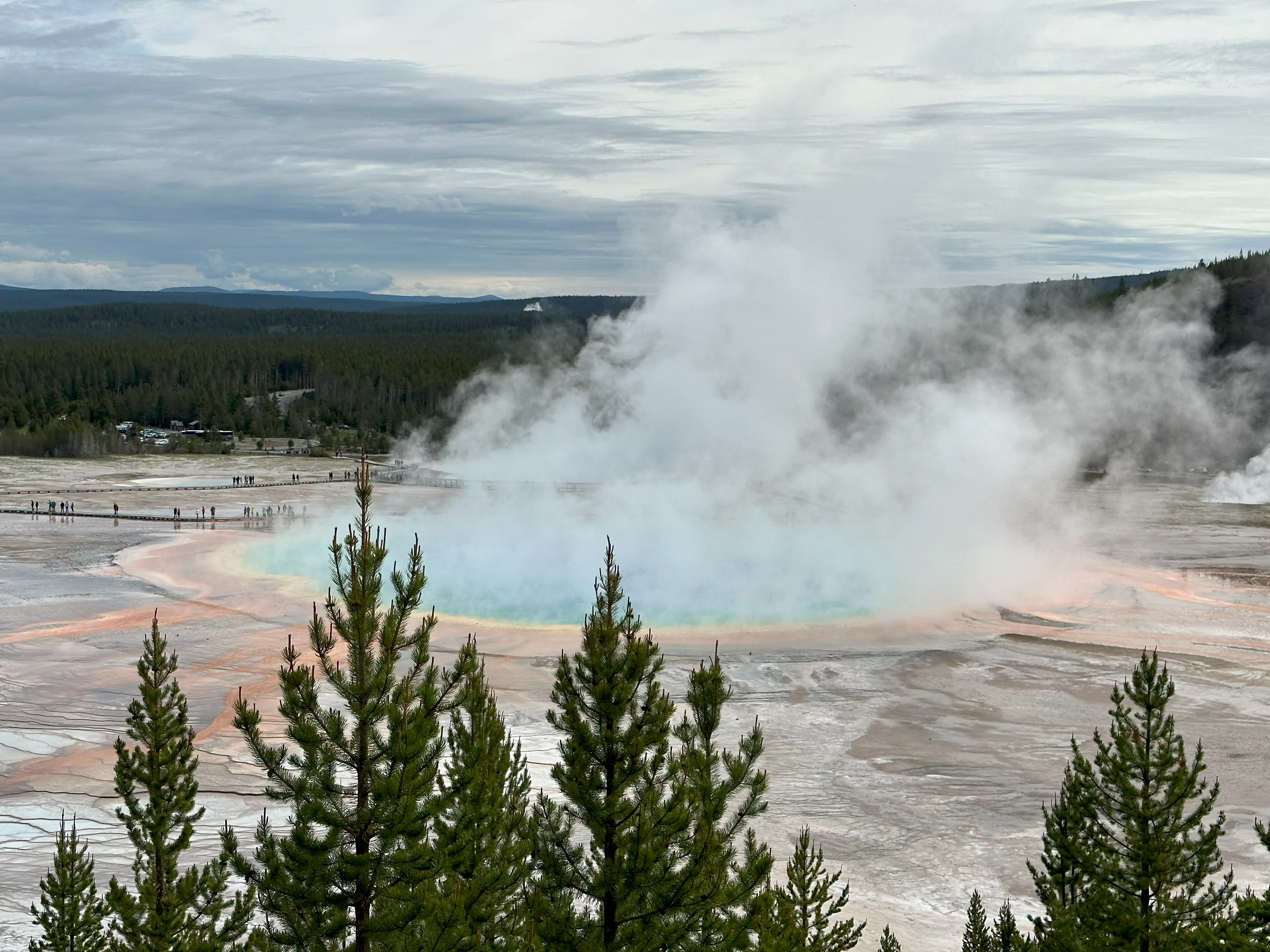 img_0852.webp