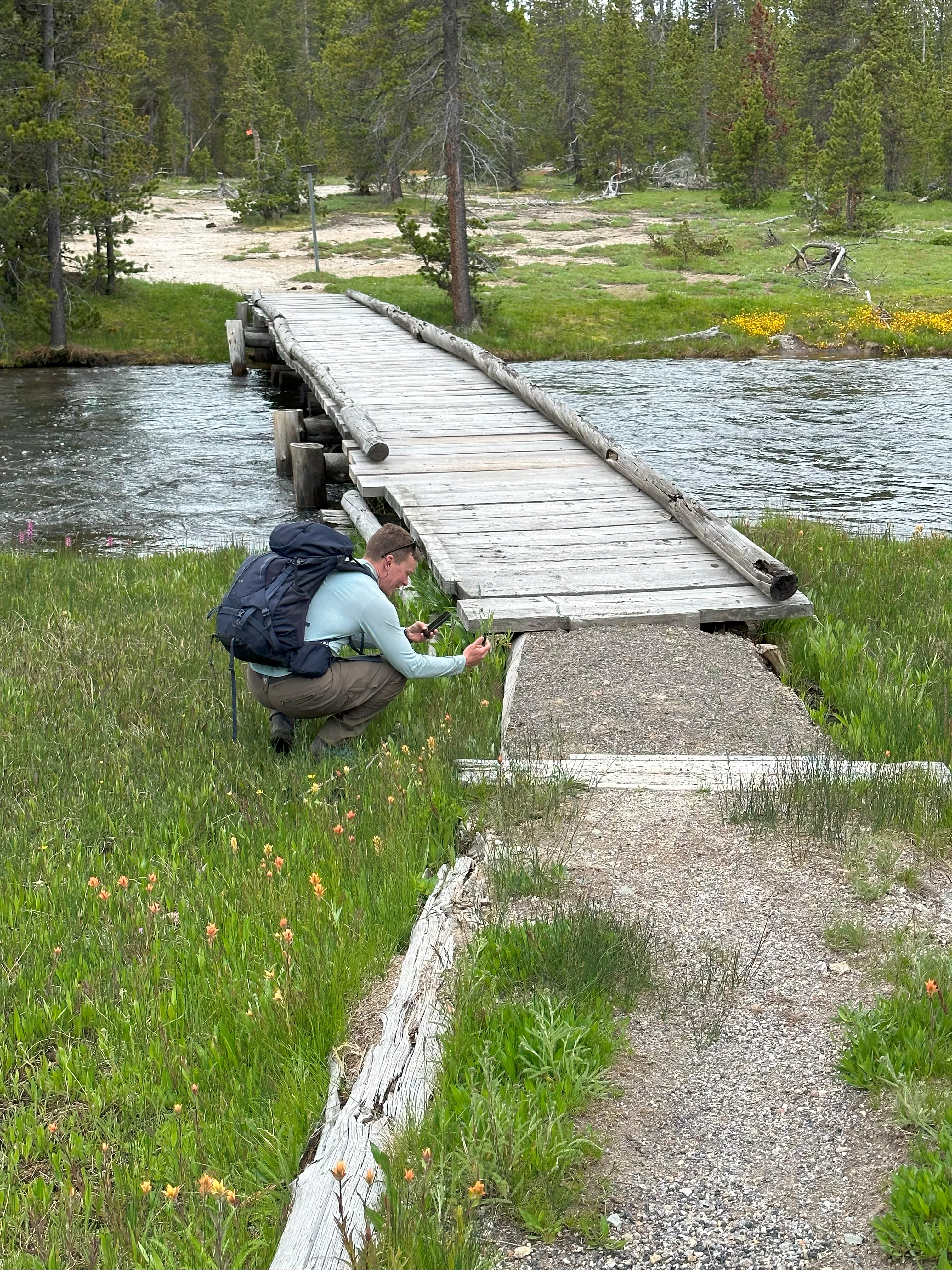 img_0855.webp