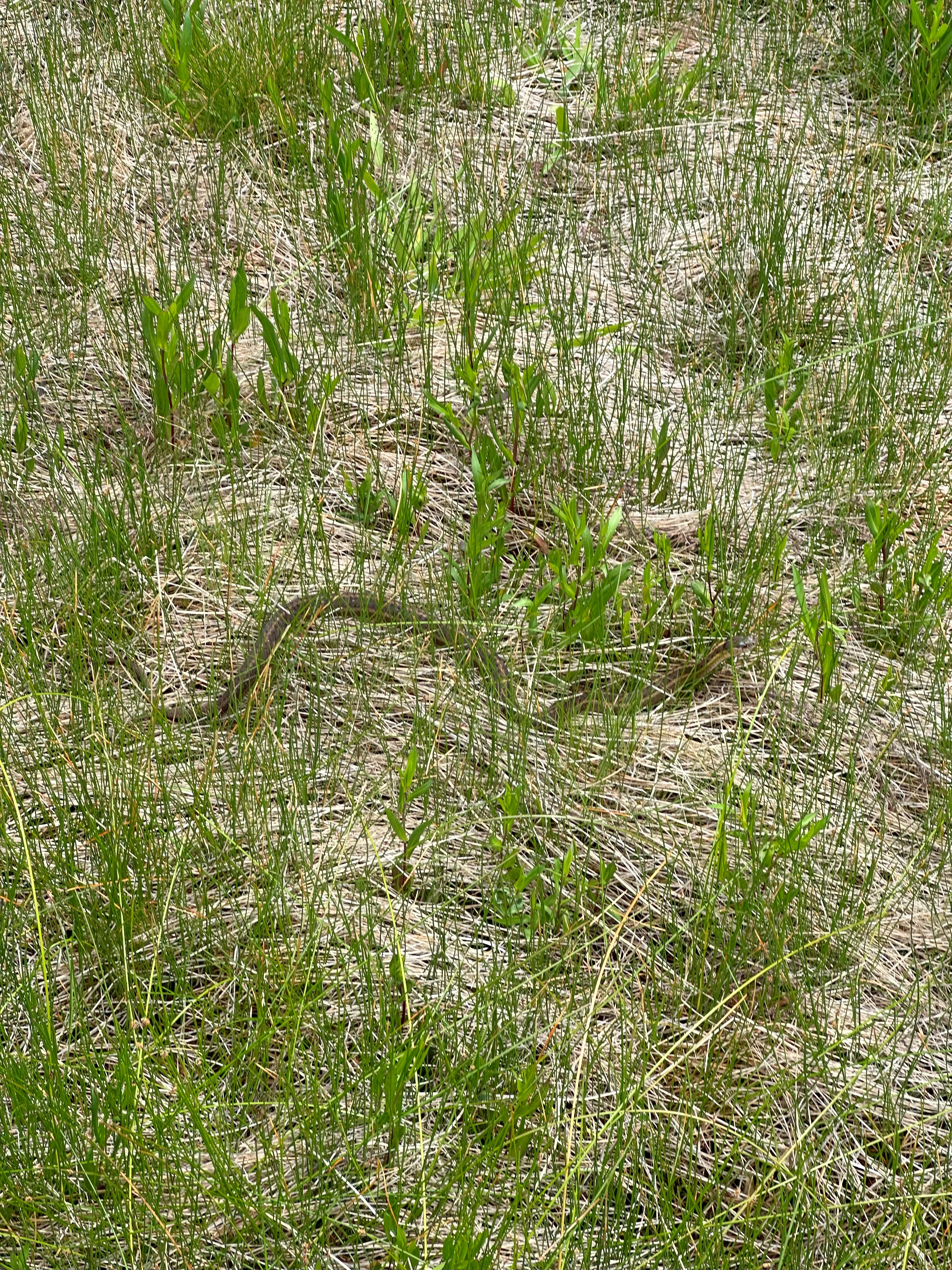 img_0860.webp