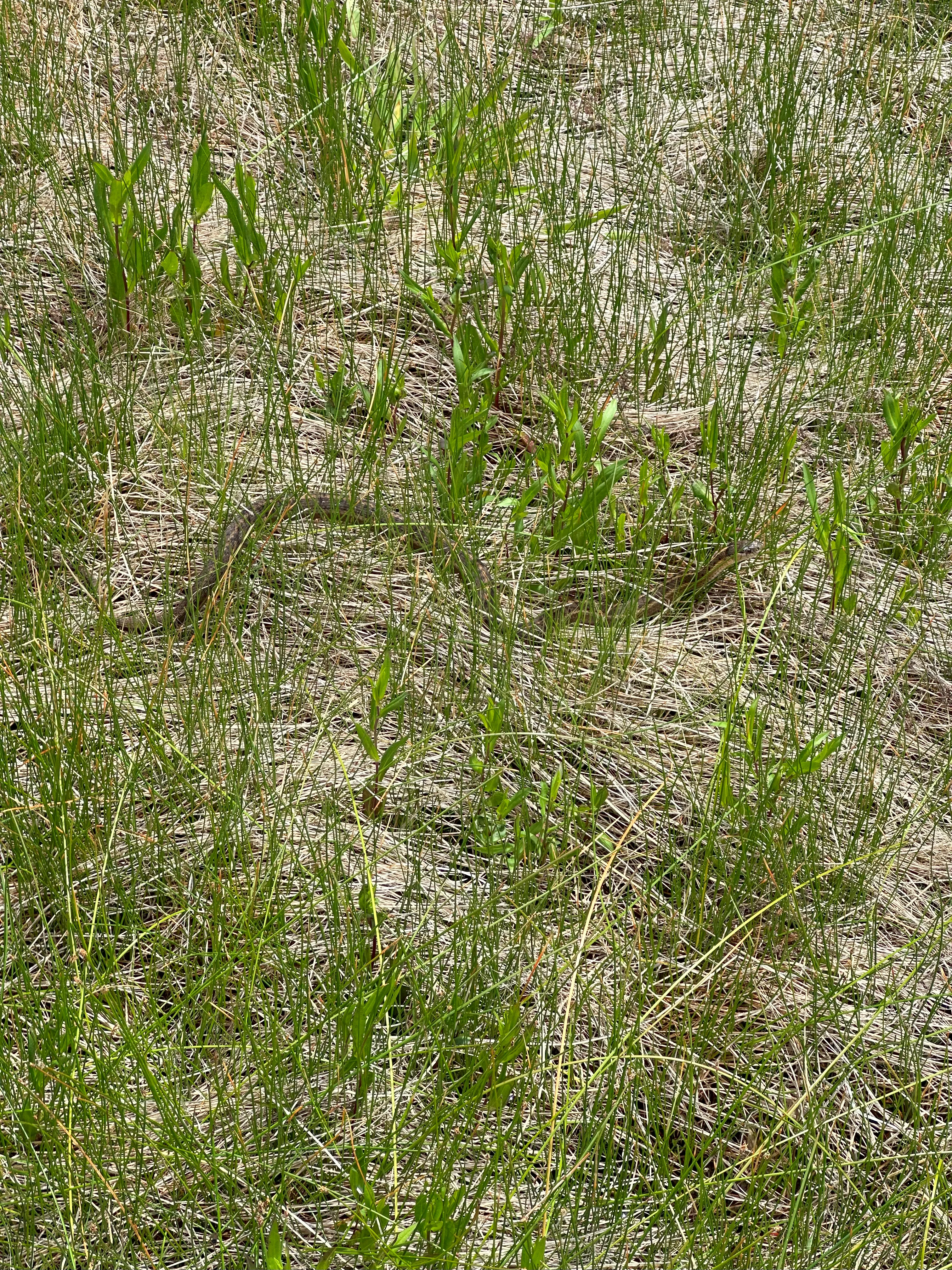 img_0863.webp