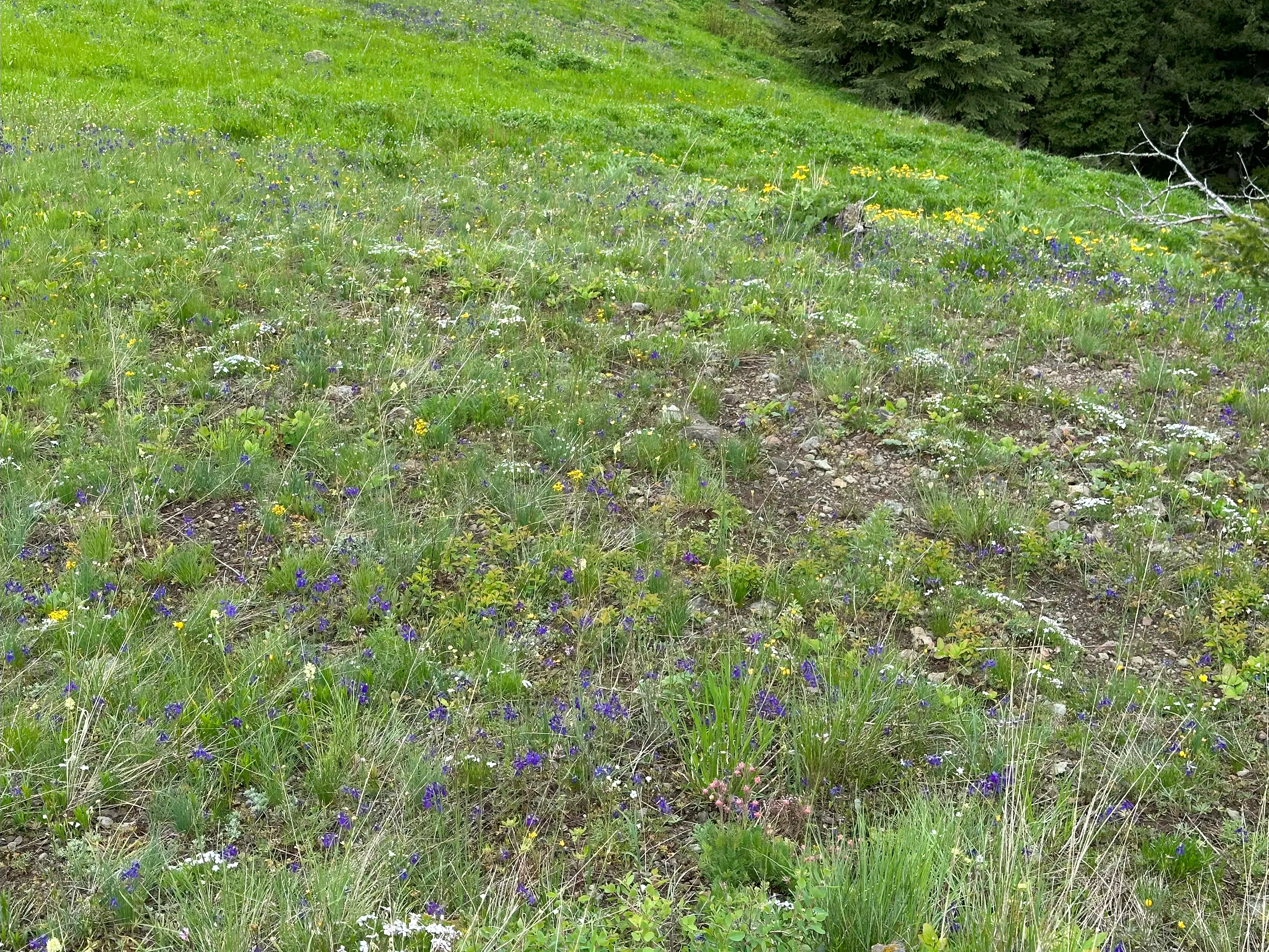 img_0932.webp