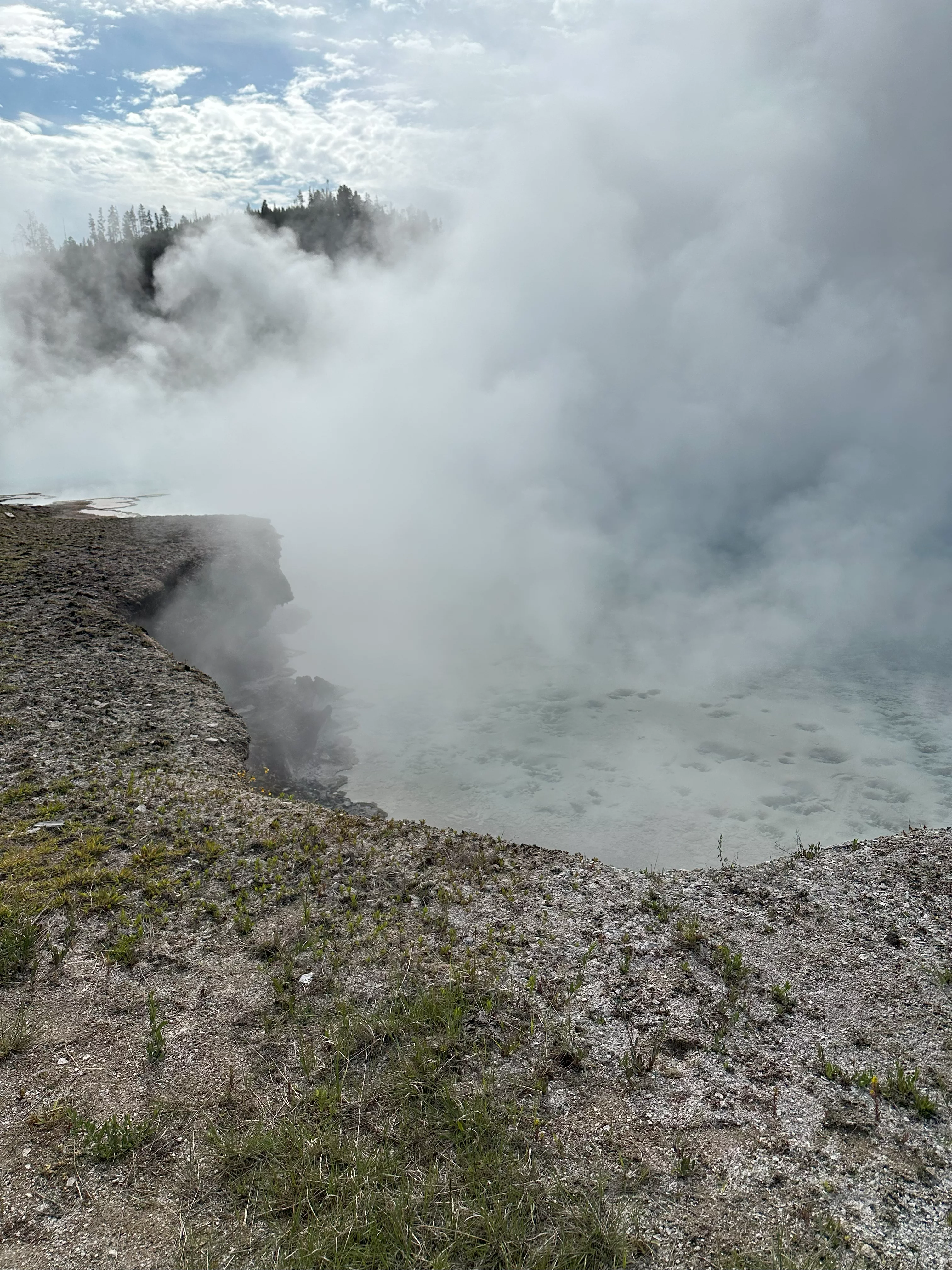img_3774.webp