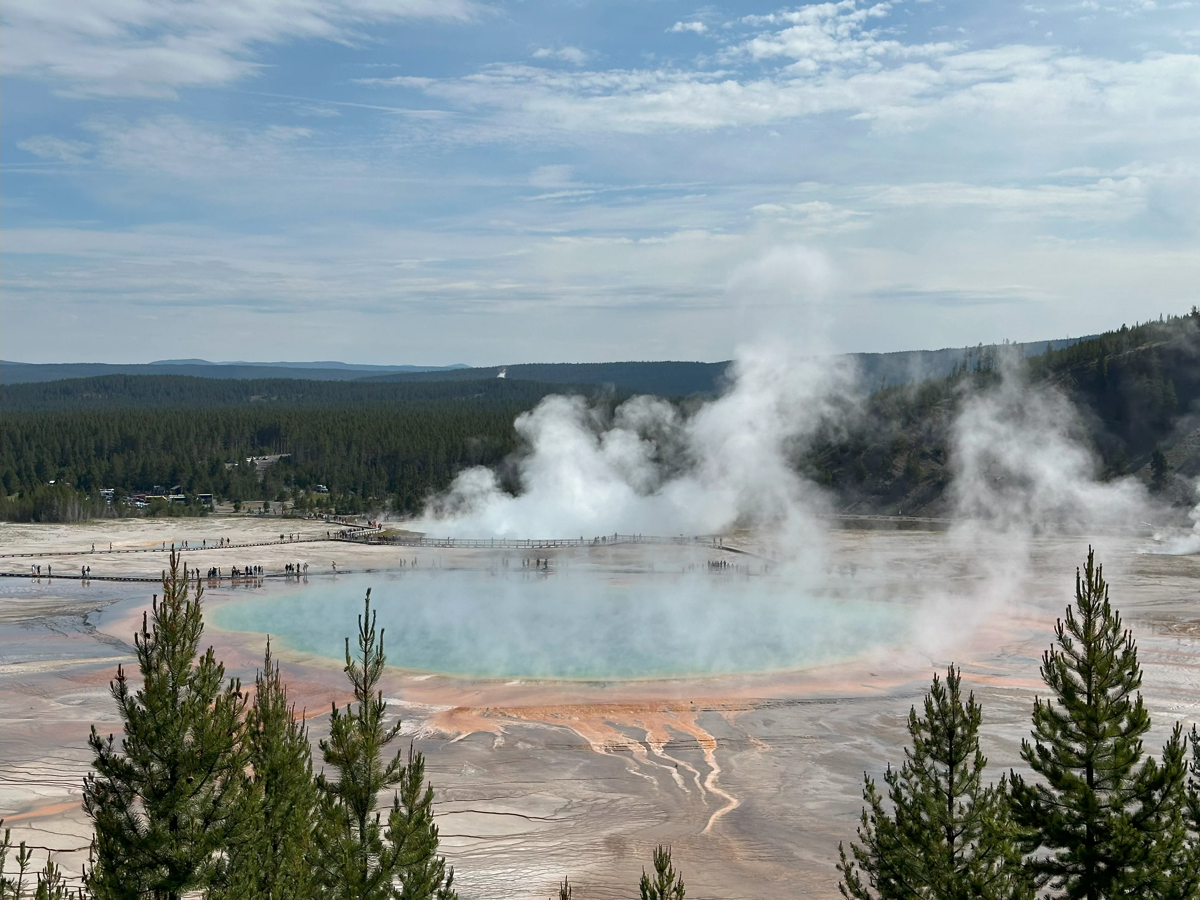 img_3777.webp
