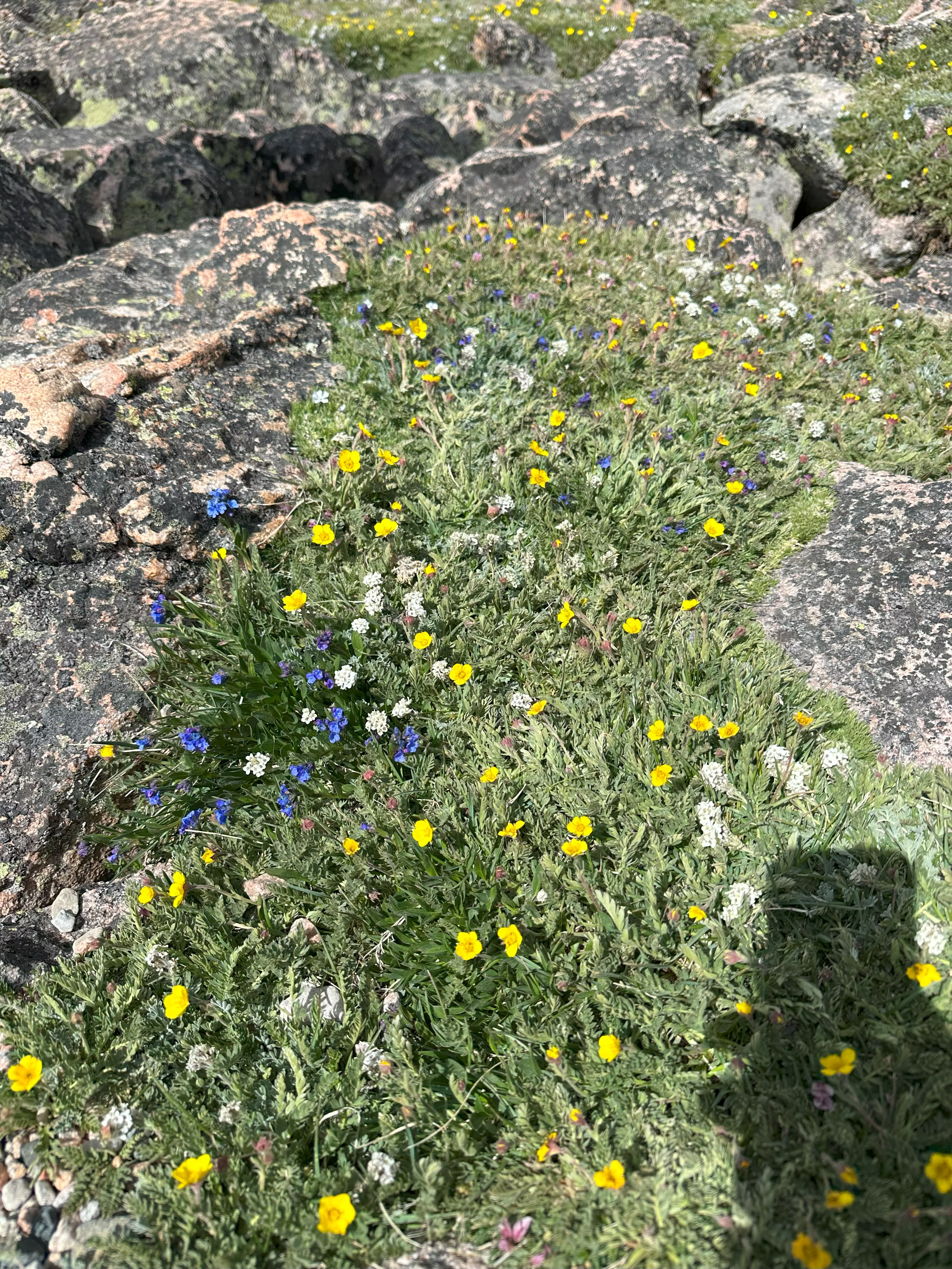 img_3839.webp