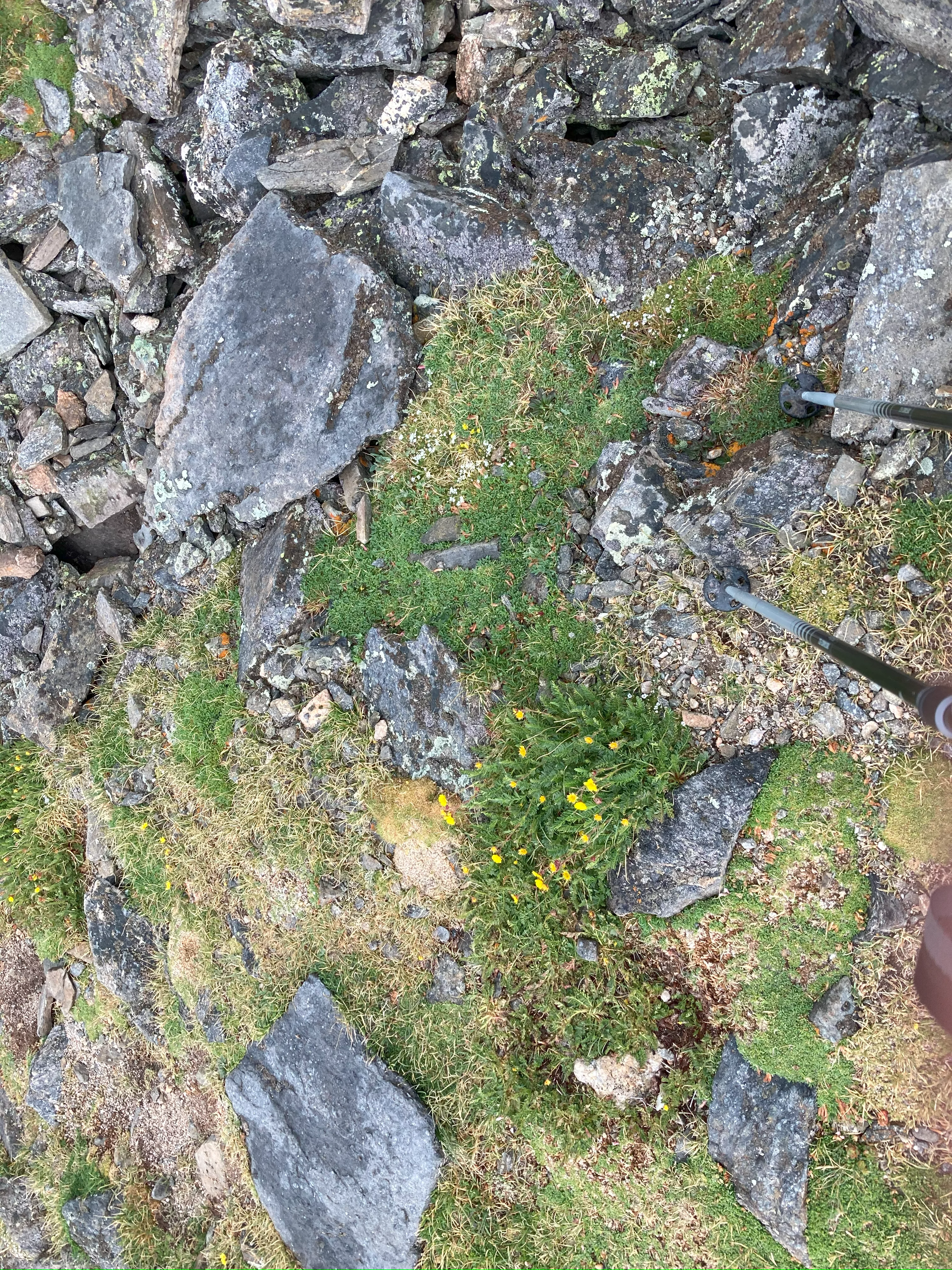 img_1720.webp